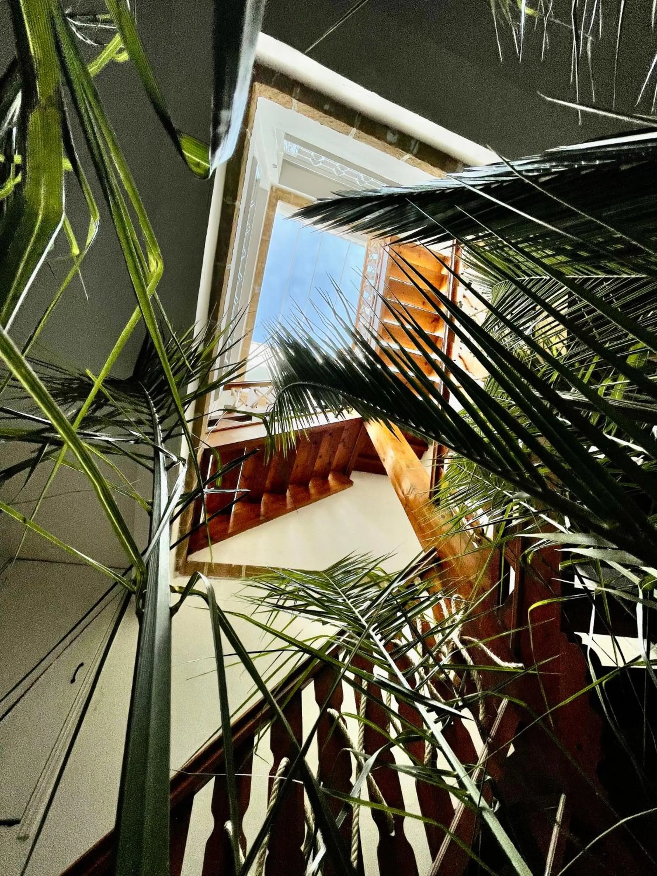 Balcony/Terrace in Riad Dar Zayna