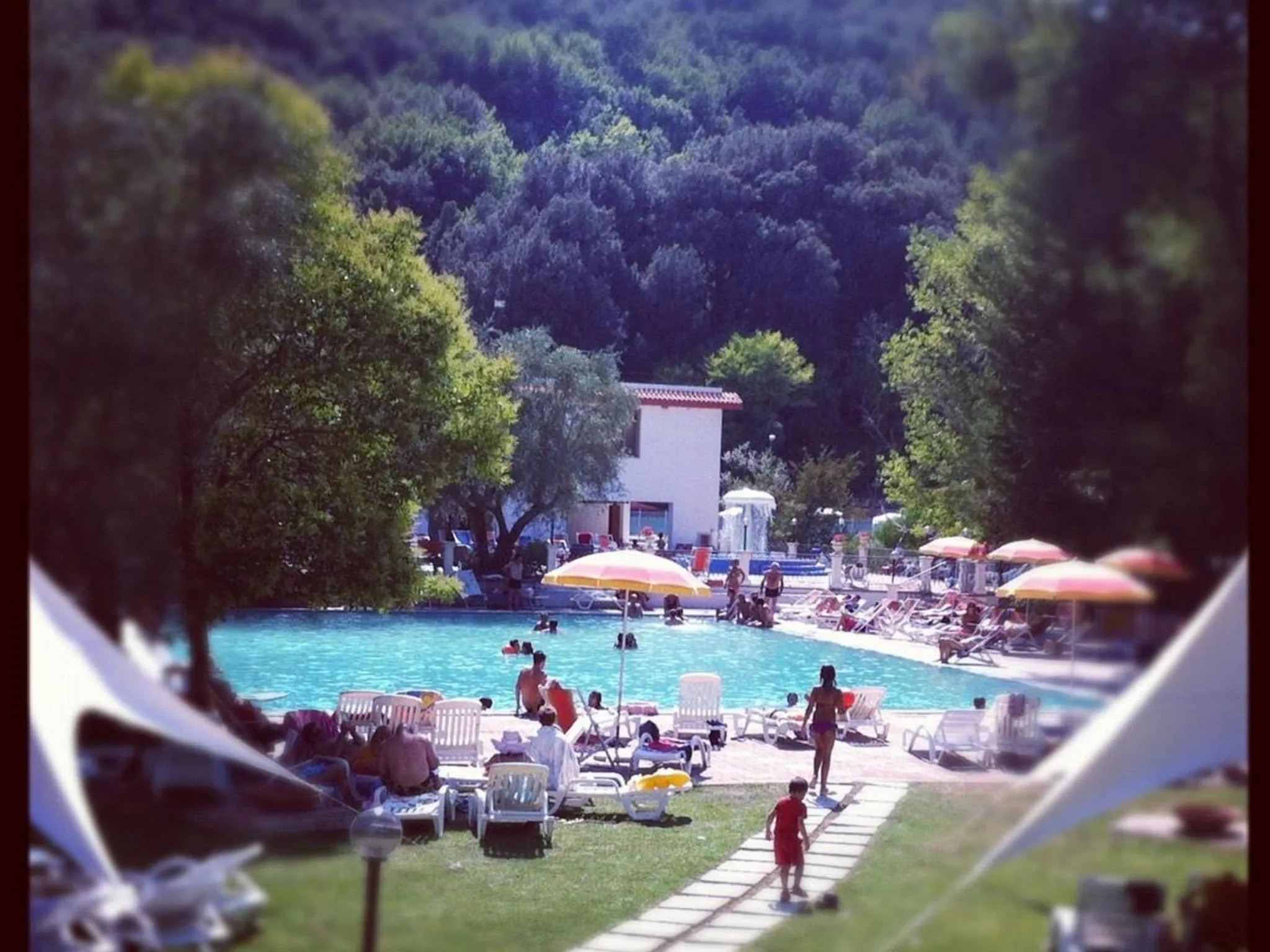 Swimming pool in Albergo Terme Forlenza