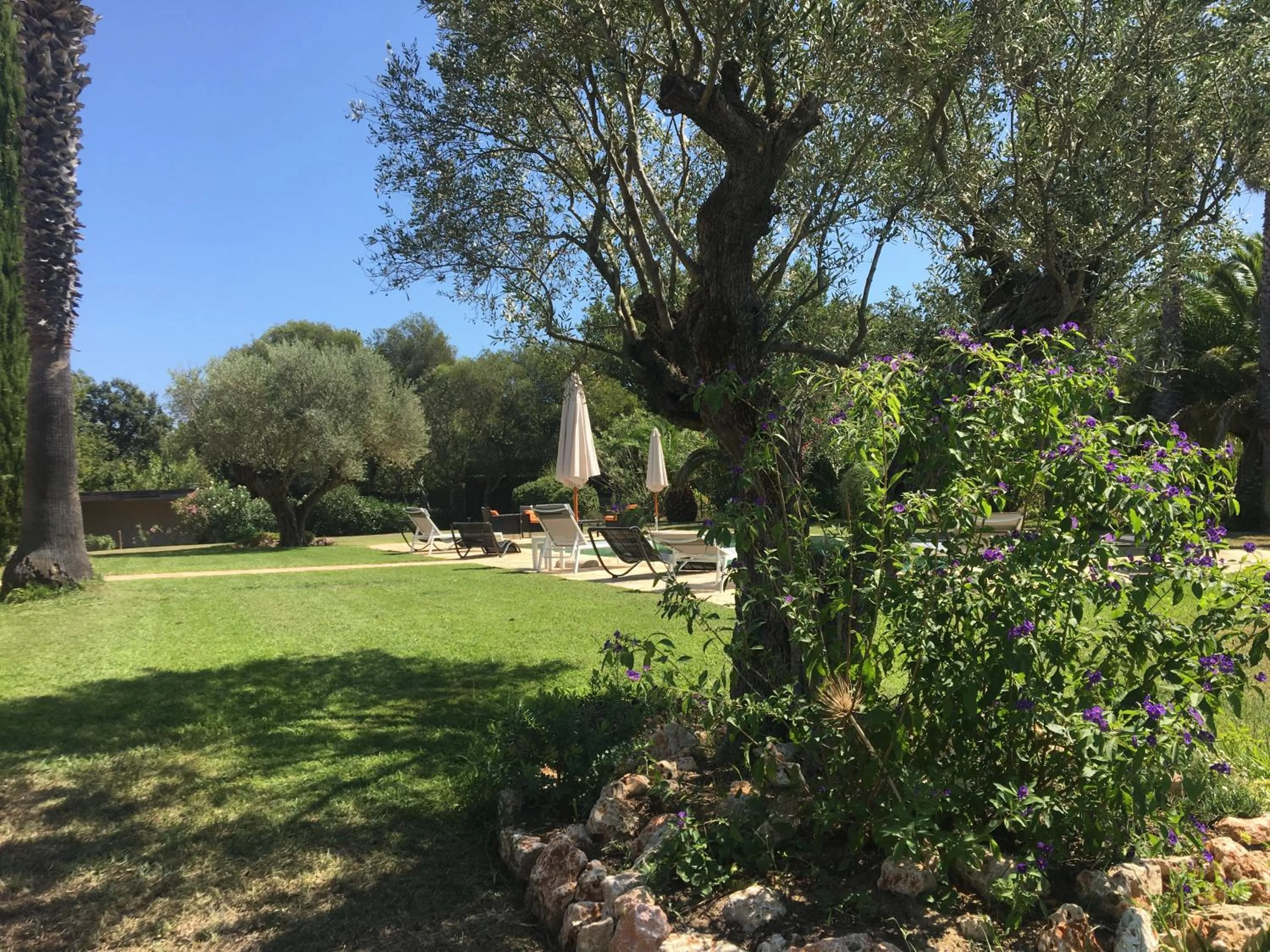 Pool view in Clos des Vignes Pampelonne Vineyard