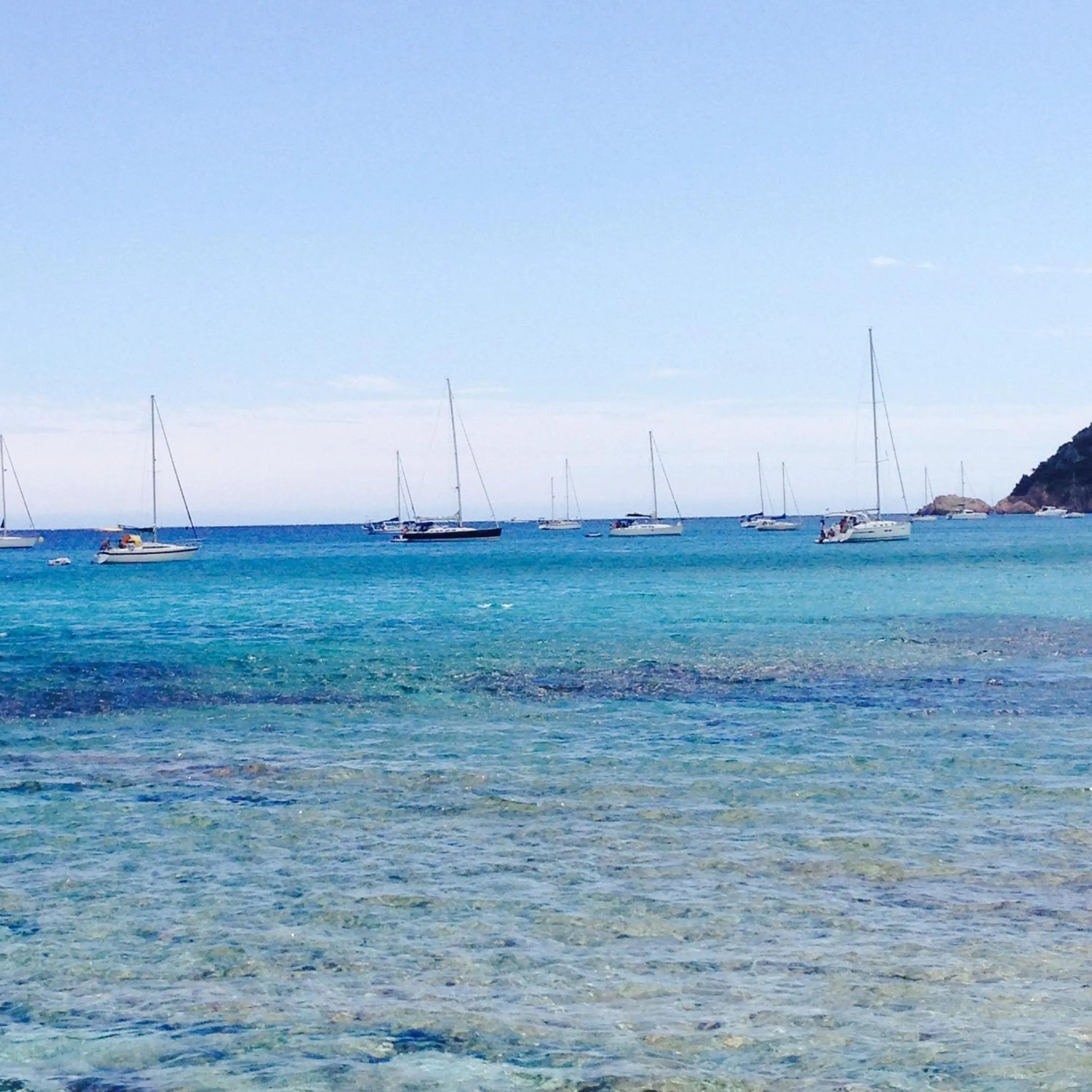 Day in Clos des Vignes Pampelonne Vineyard