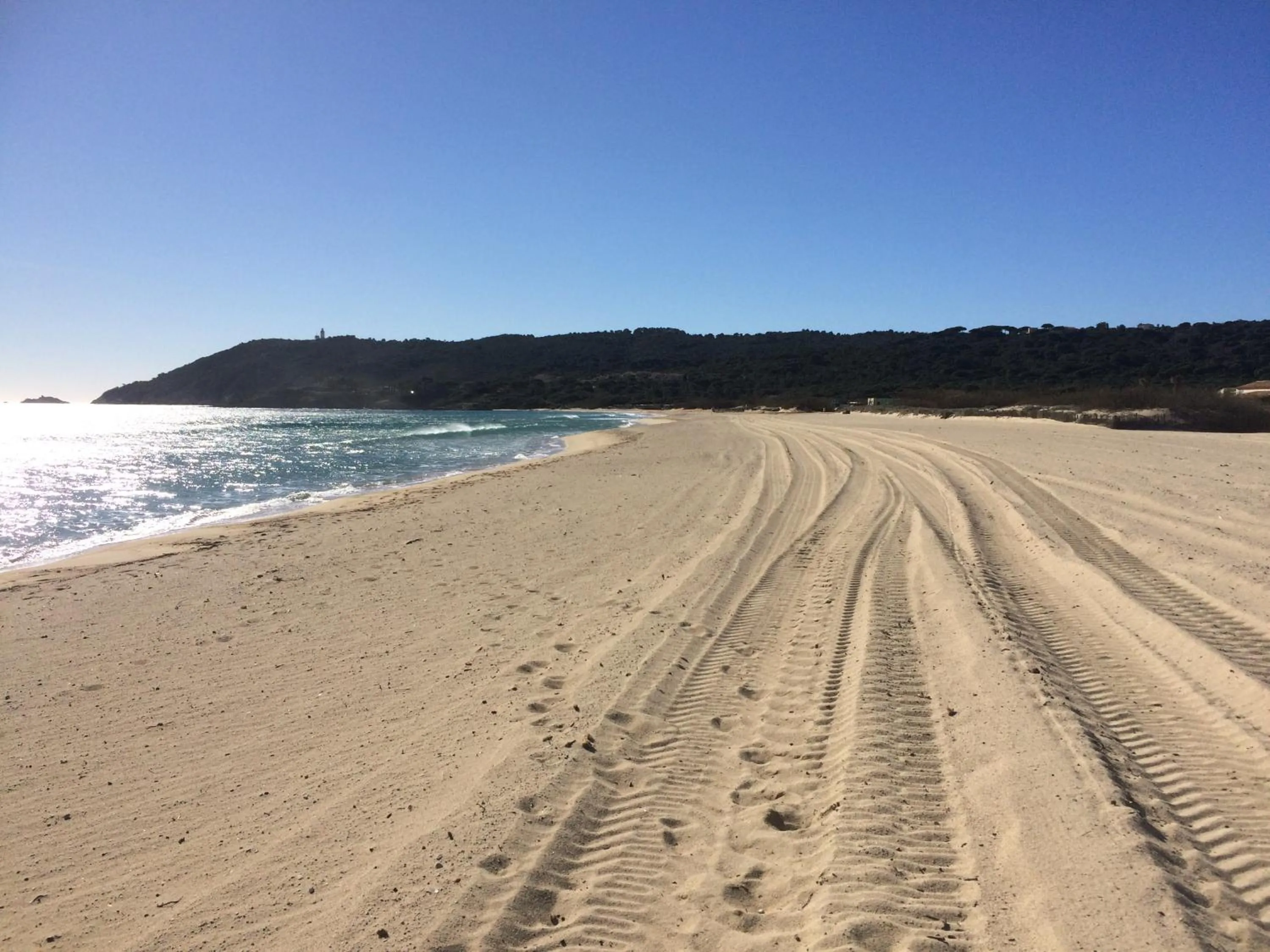 Spring in Clos des Vignes Pampelonne Vineyard