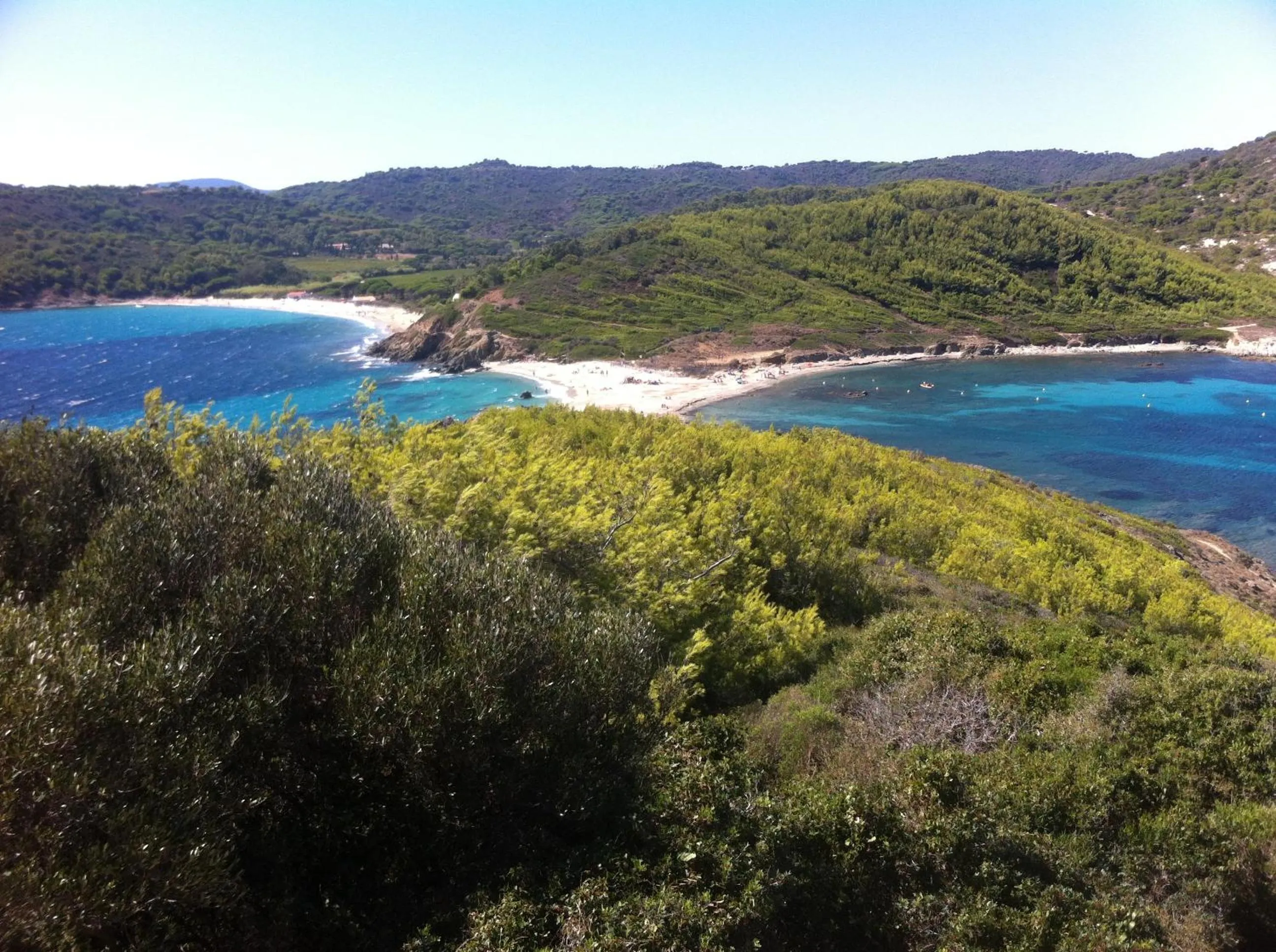 Natural landscape in Clos des Vignes Pampelonne Vineyard