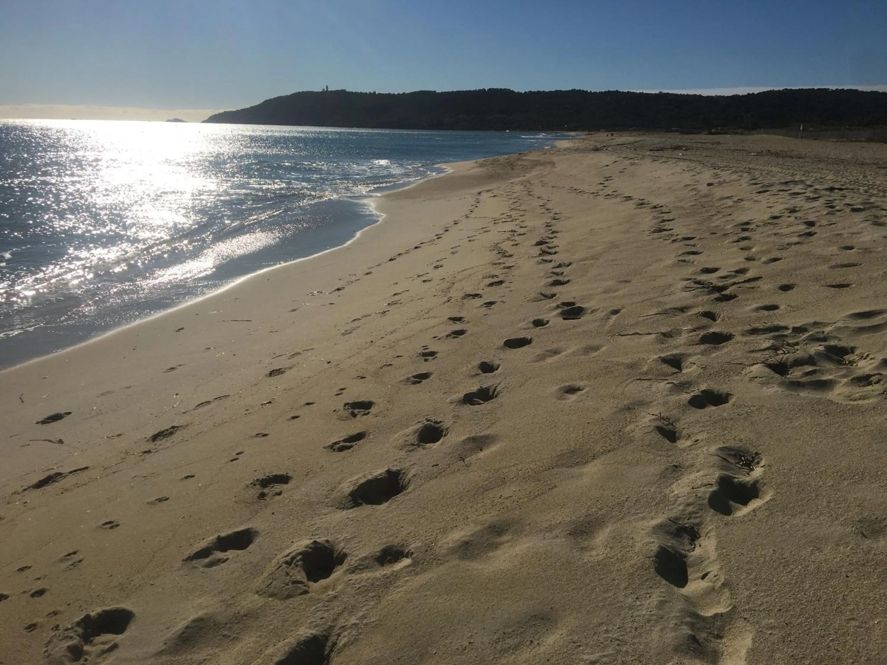 Natural landscape in Clos des Vignes Pampelonne Vineyard