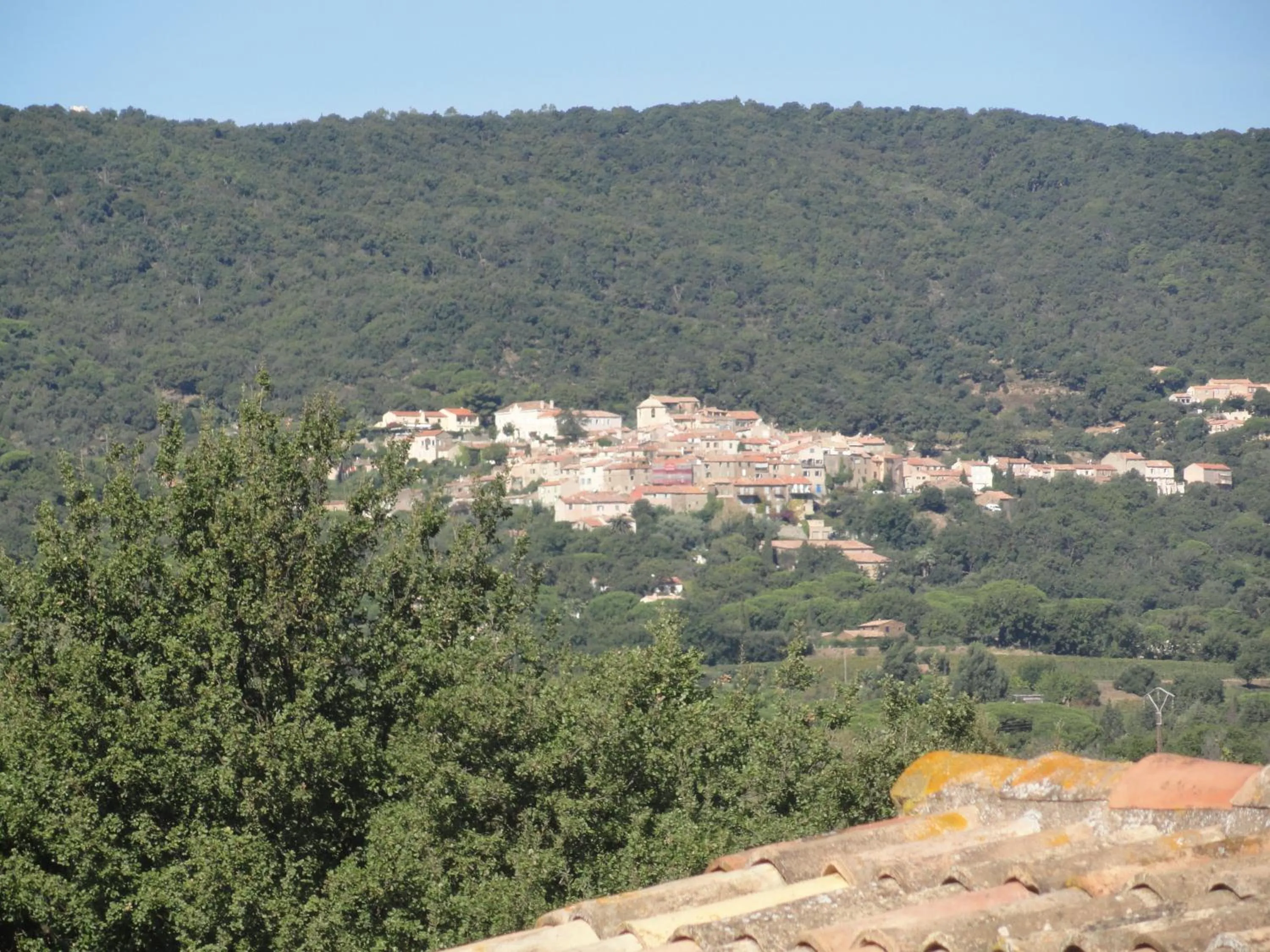 Decorative detail in Clos des Vignes Pampelonne Vineyard