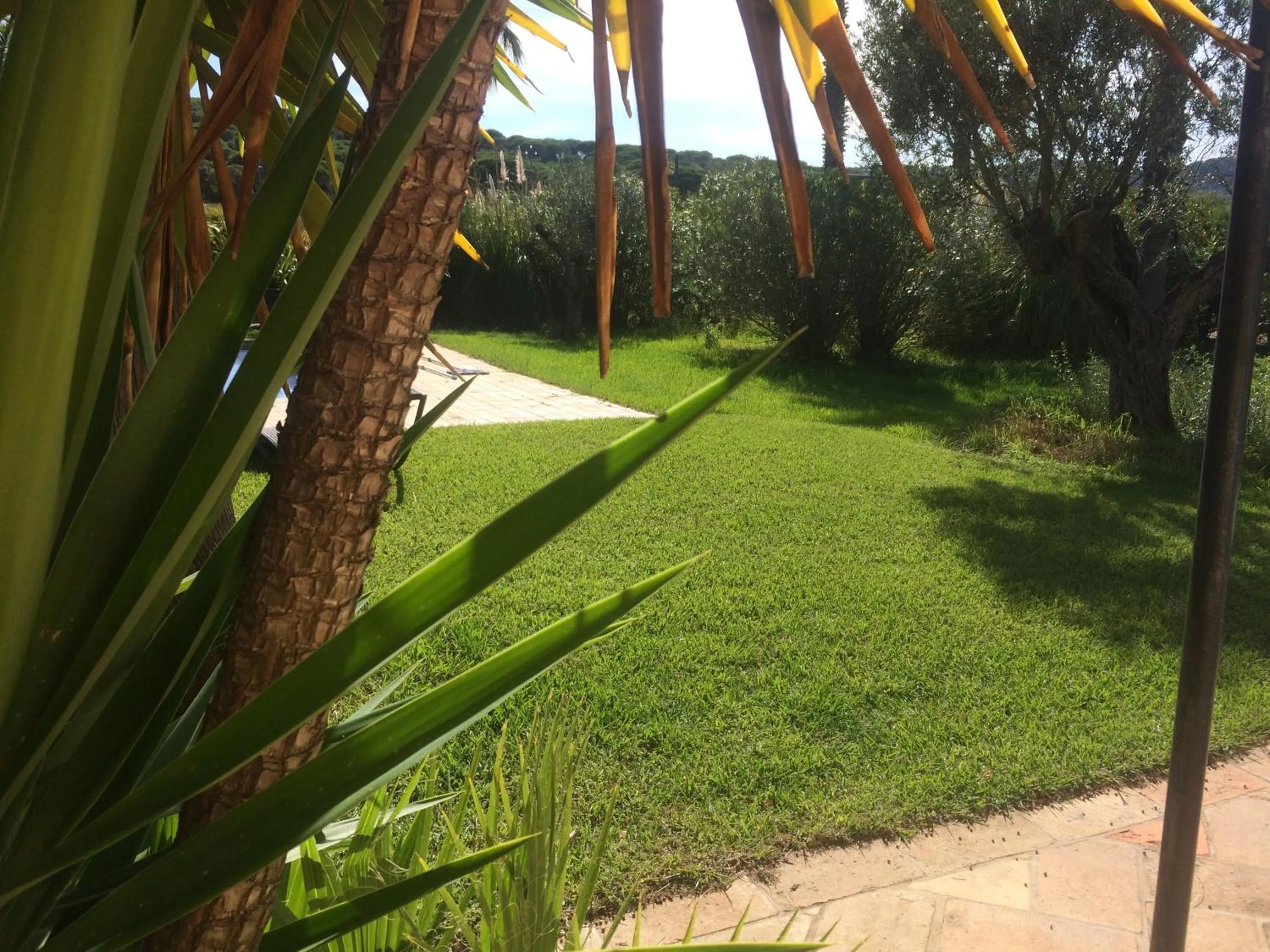 Clos des Vignes Pampelonne Vineyard