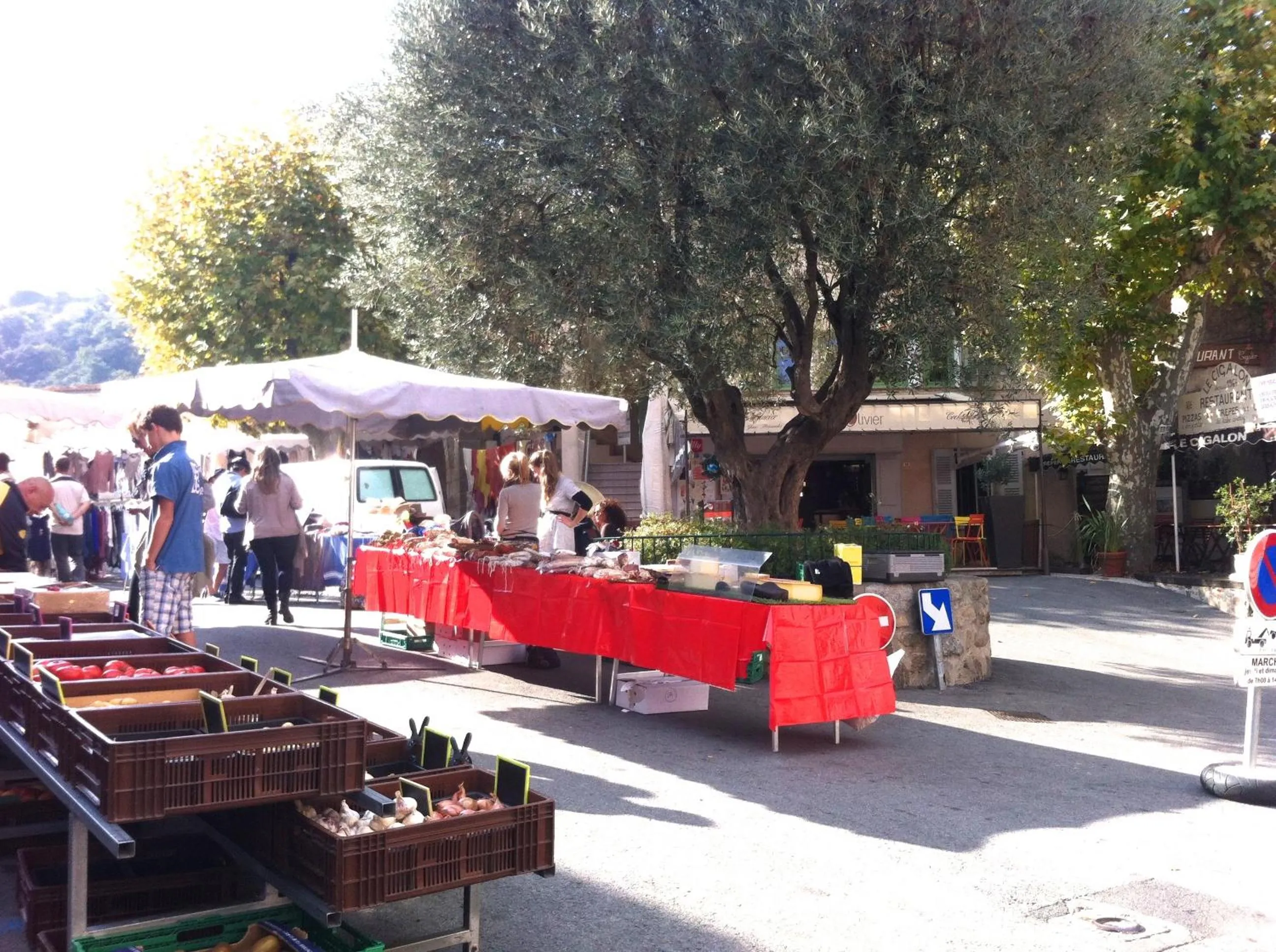 People in Clos des Vignes Pampelonne Vineyard