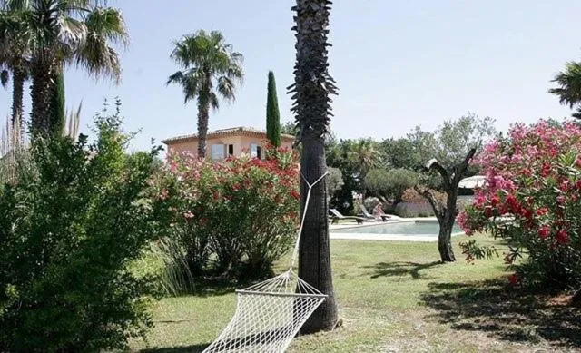 Clos des Vignes Pampelonne Vineyard