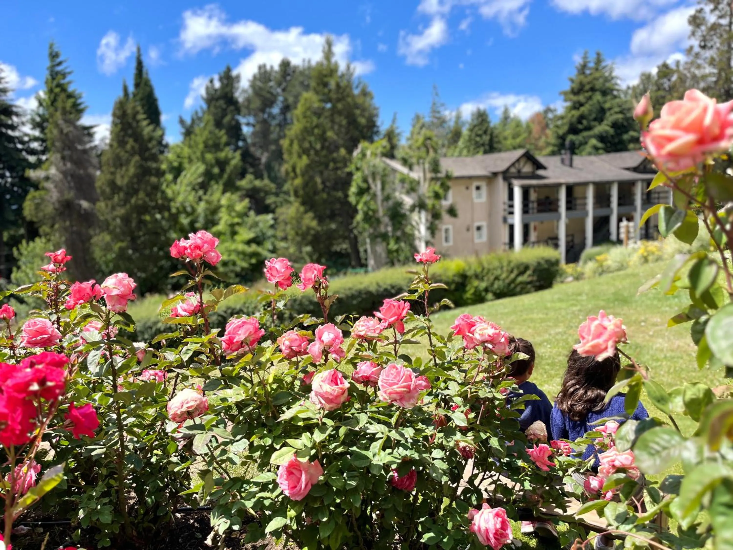 Property building in Aldea Andina Hotel&Spa