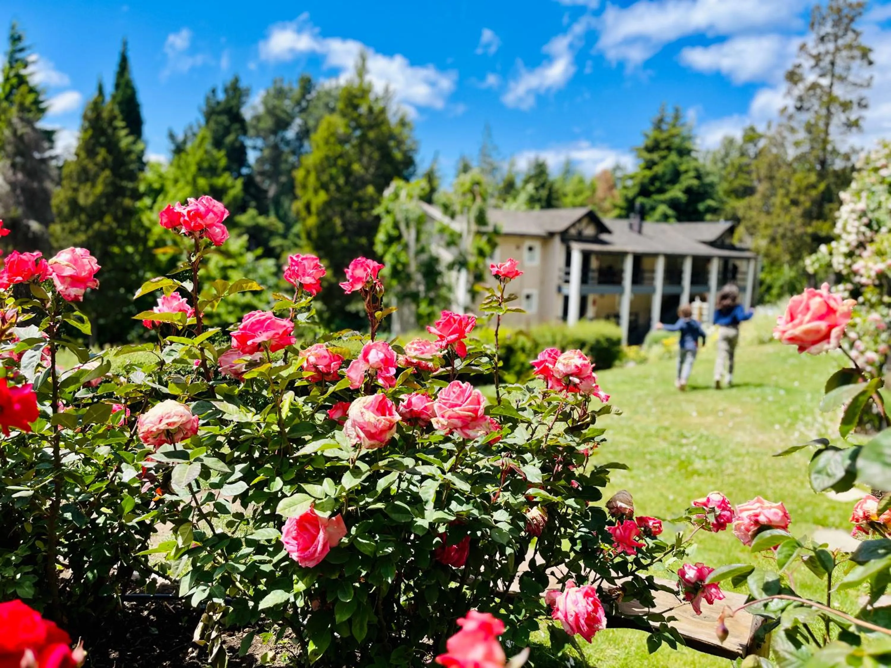 Property building in Aldea Andina Hotel&Spa