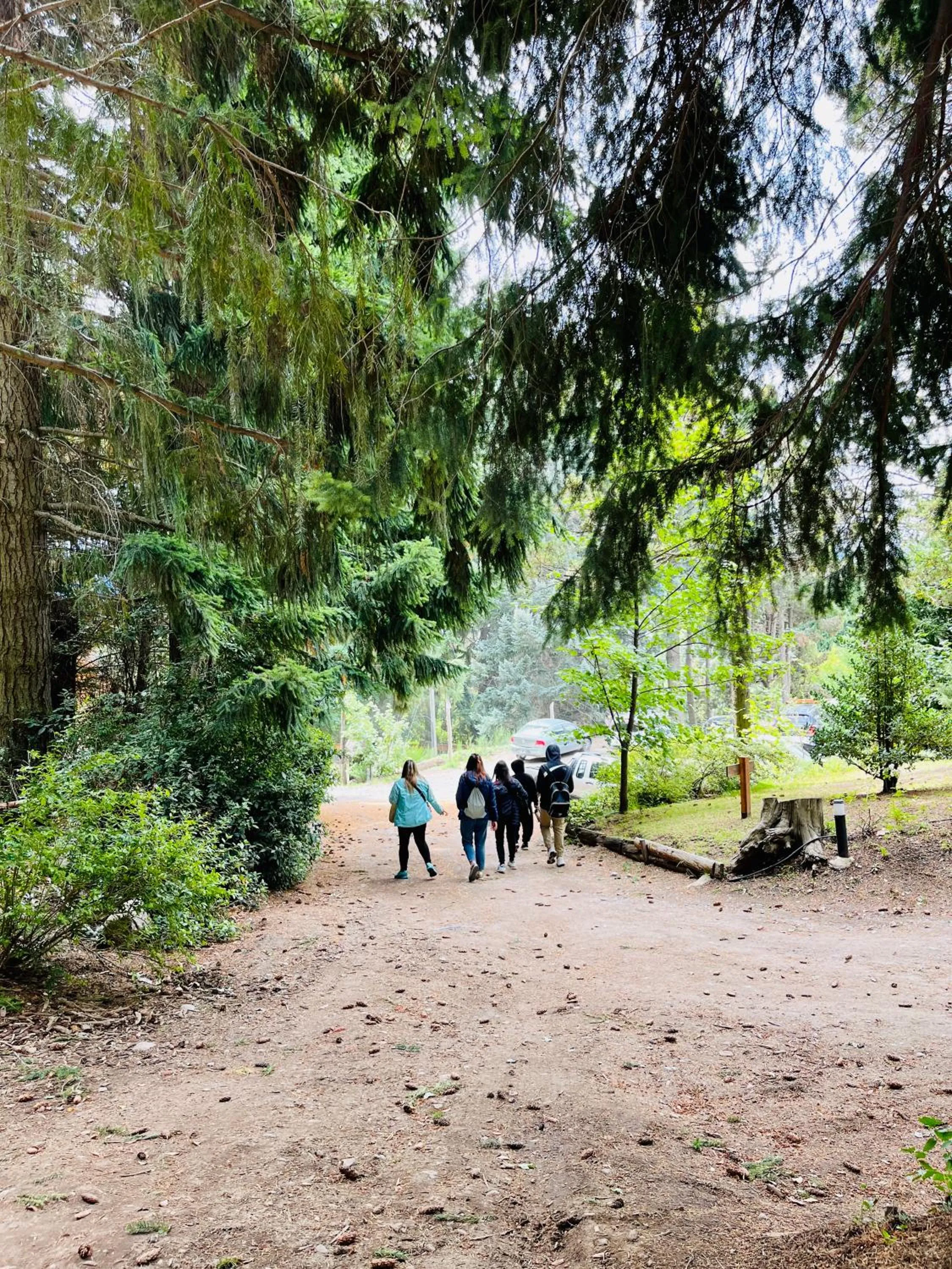 Spring in Aldea Andina Hotel&Spa