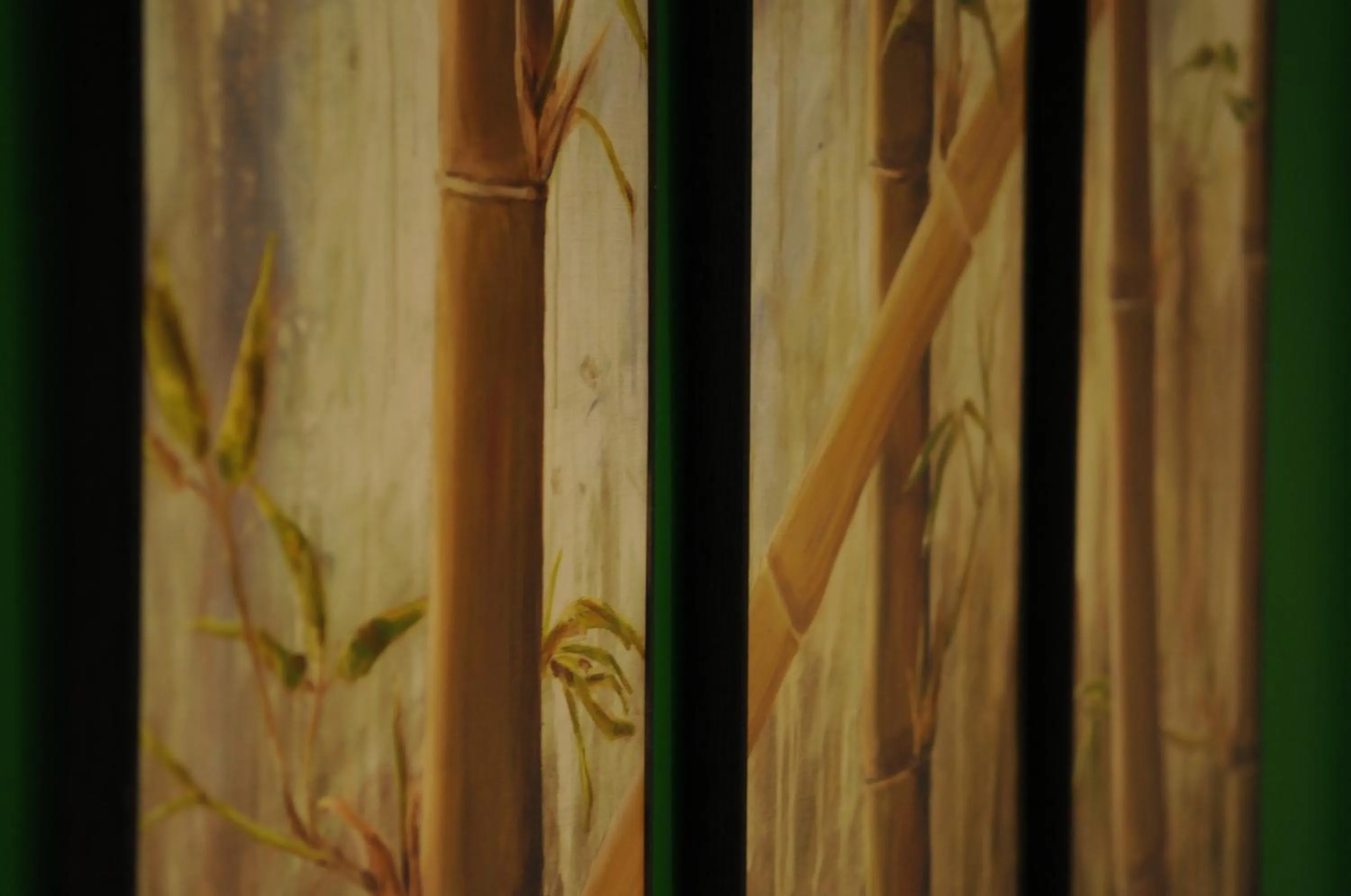 Garden in Possidonea 28