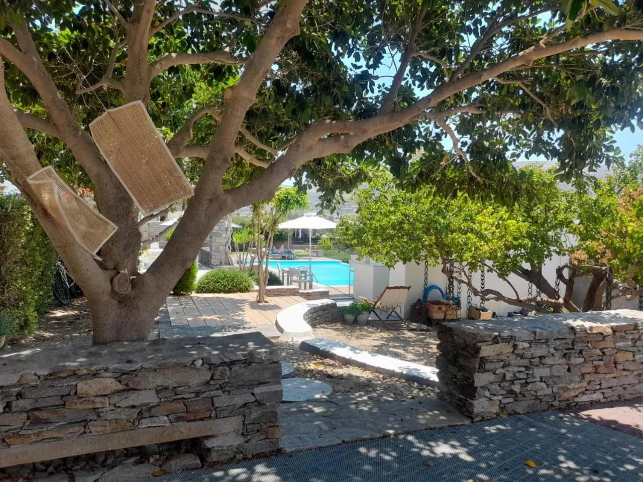 Garden in Roses Beach