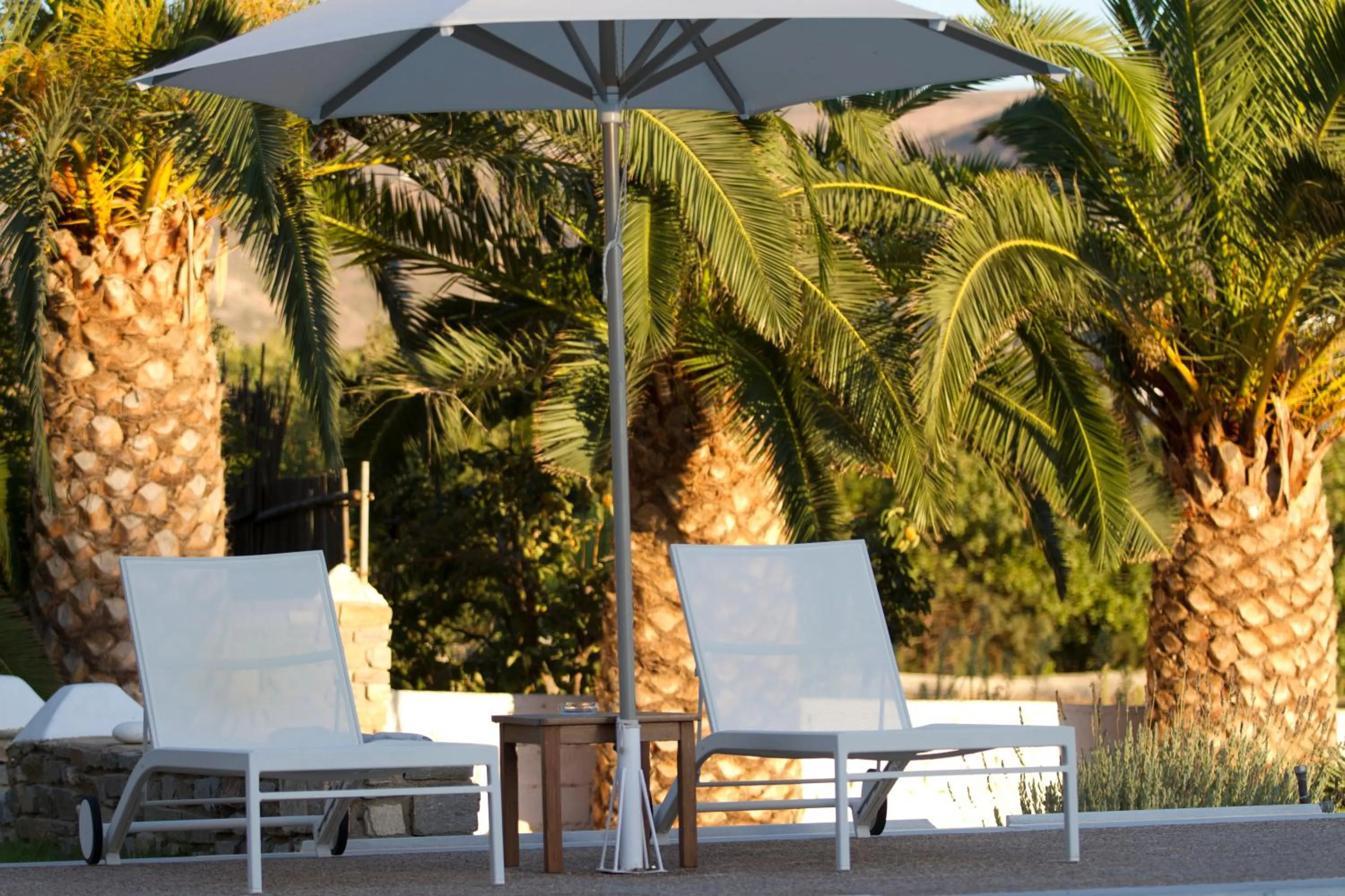 Garden in Roses Beach