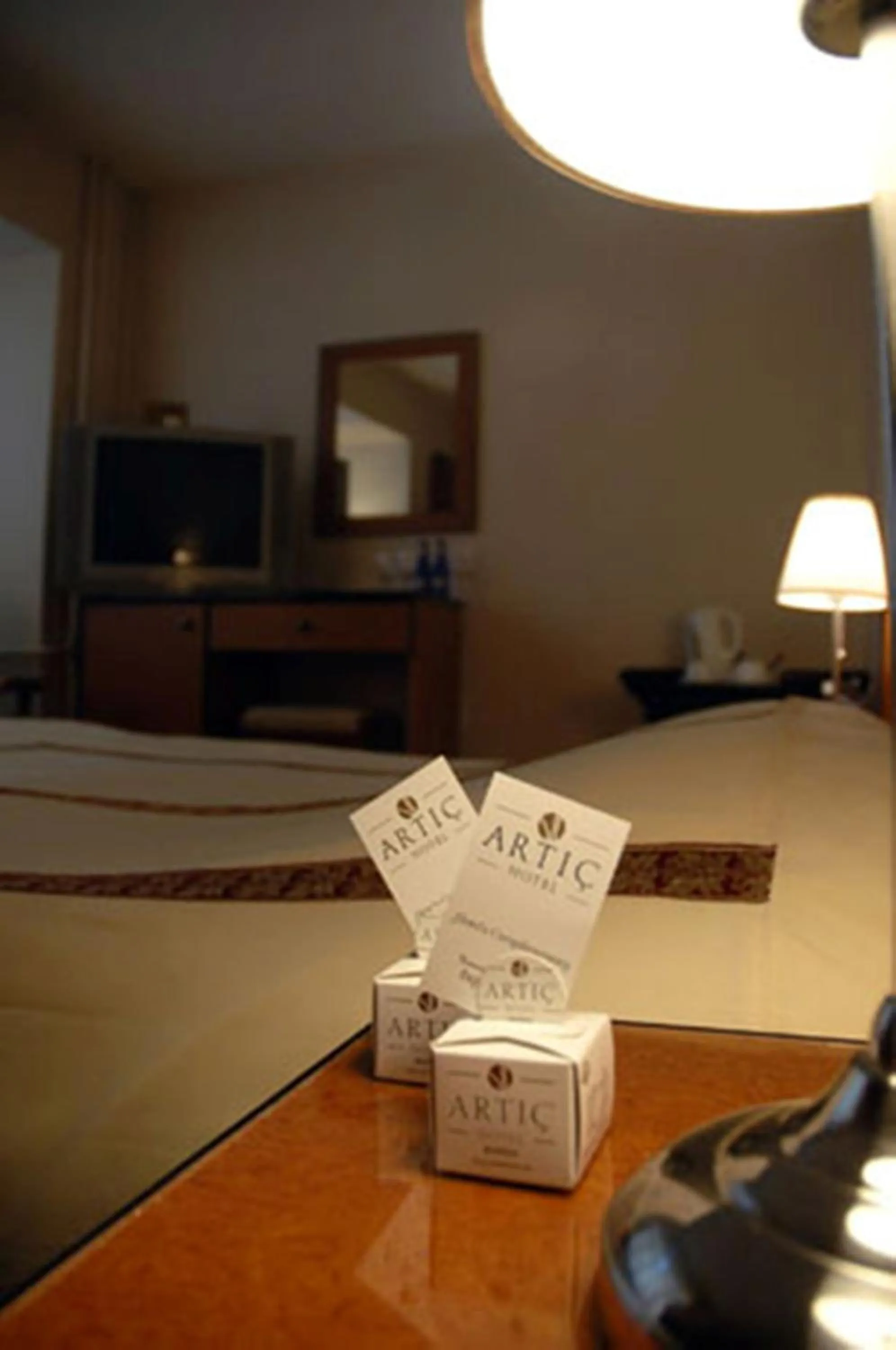 Photo of the whole room in Hotel Artiç