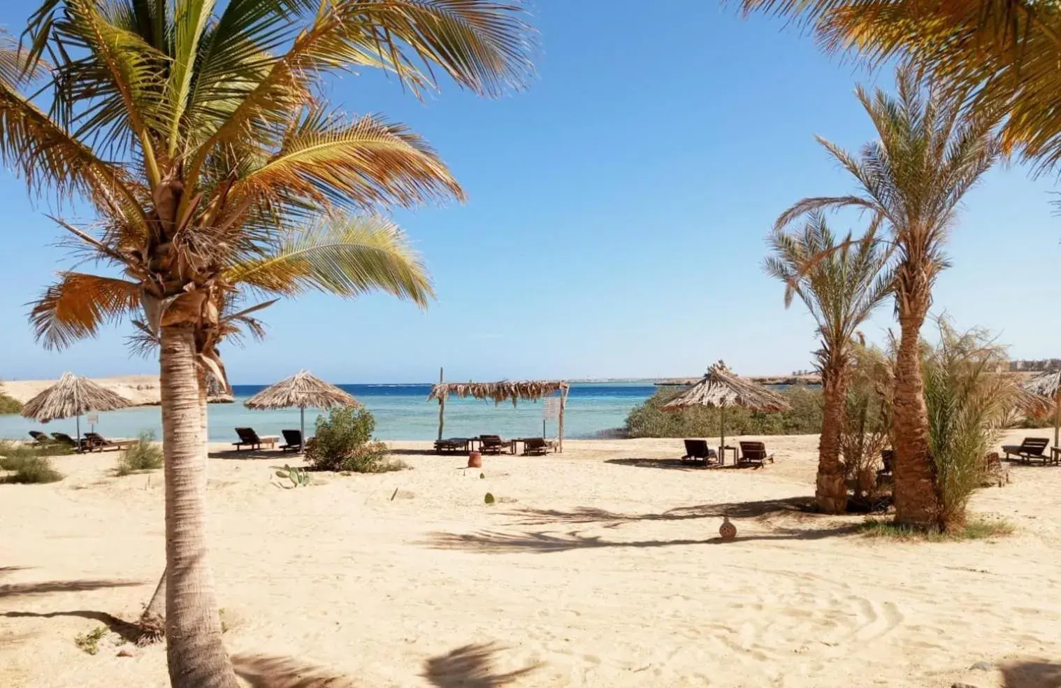 Bungalow with Sea View - single occupancy in Mangrove Bay Resort Bungalow with Sea View - single occupancy in Mangrove Bay Resort