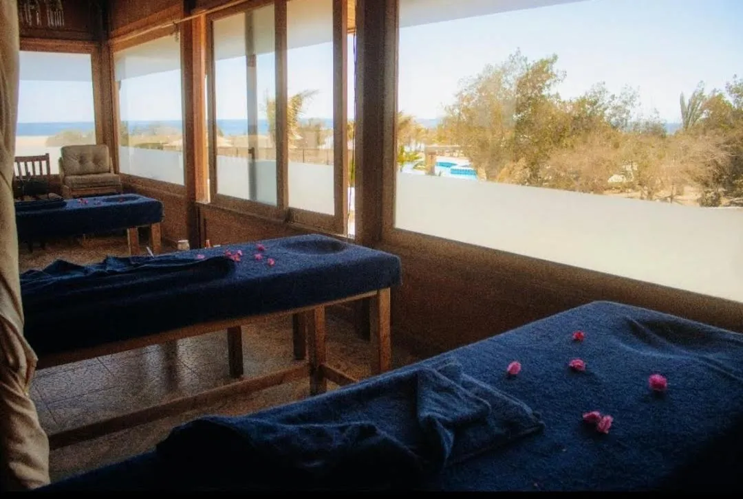 Massage, Bed in Mangrove Bay Resort