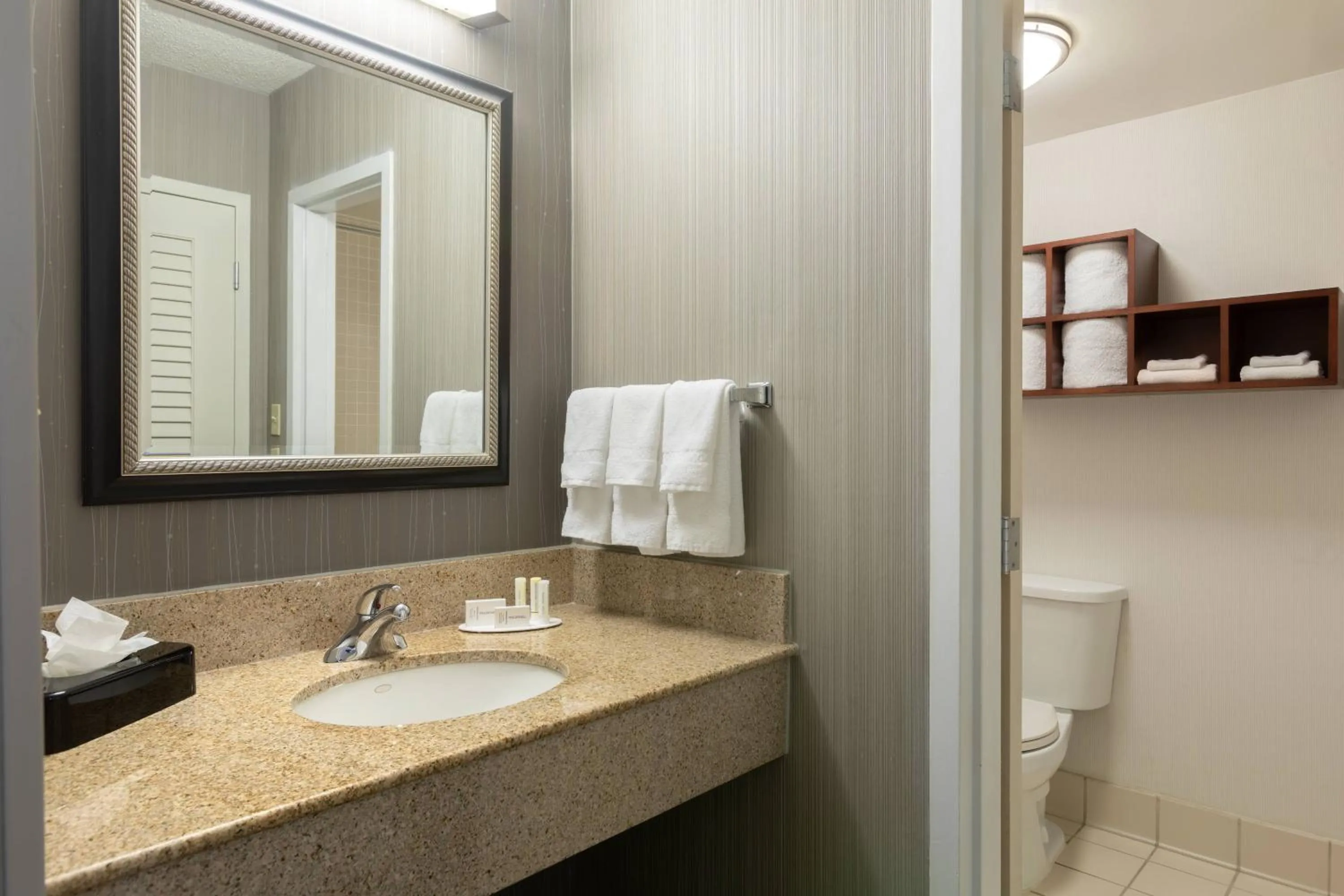 One-Bedroom Suite in Courtyard by Marriott Atlanta Windy Hill/Ballpark