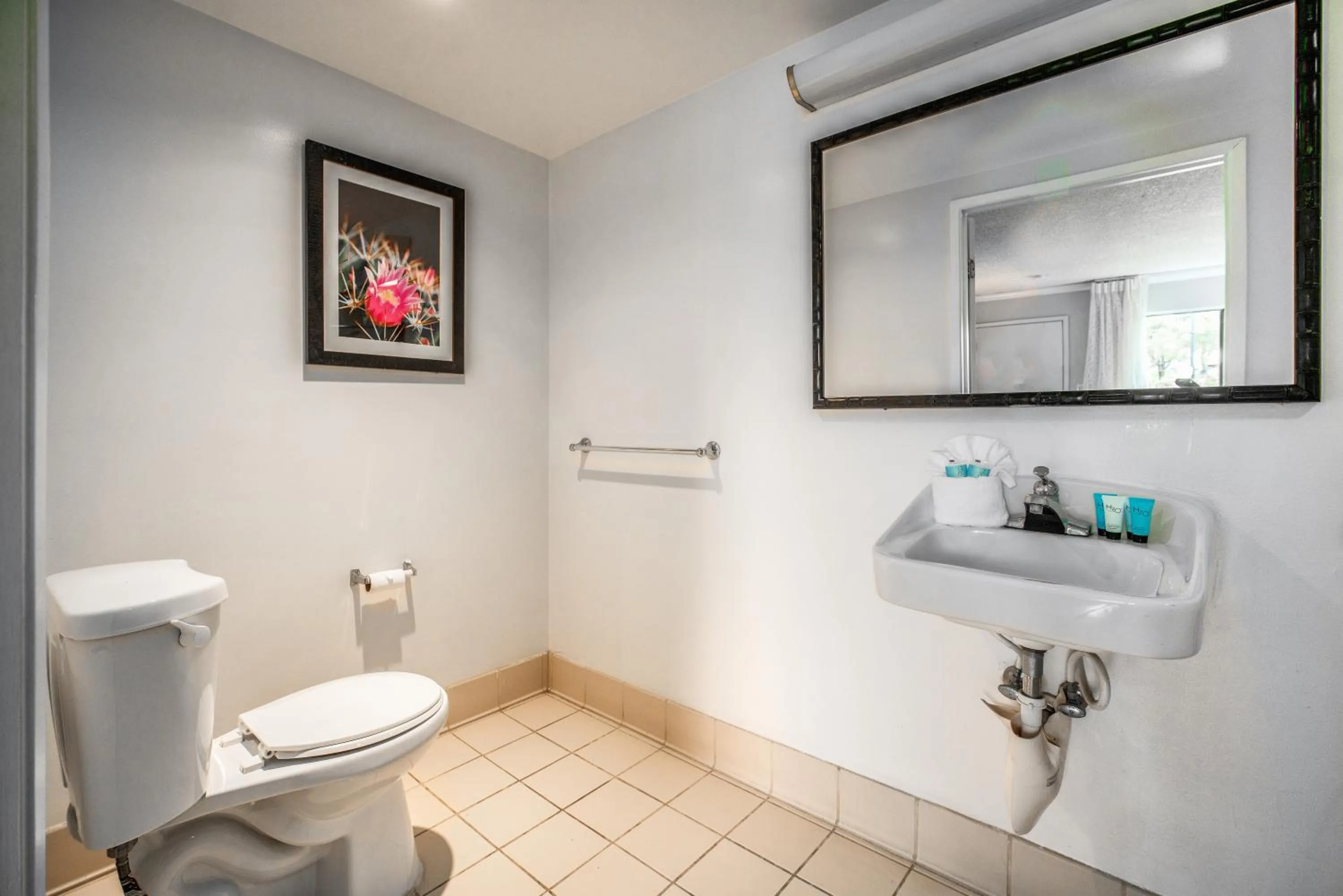 Bathroom in Quality Inn & Suites Buena Park Anaheim