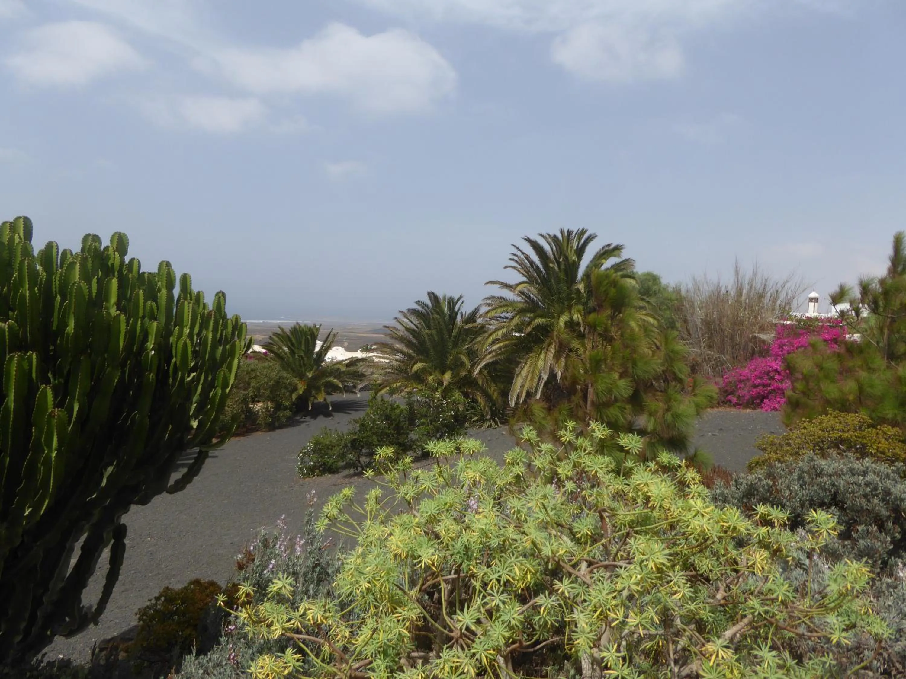 Garden in Villa El Inti