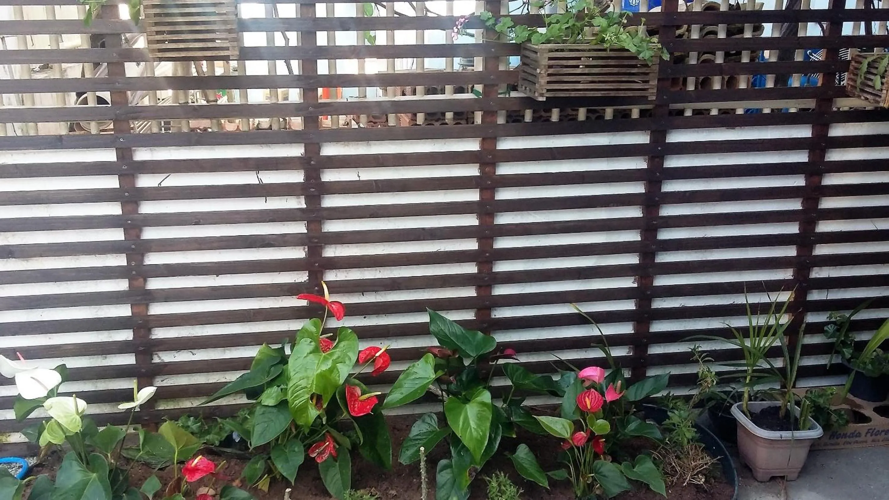 Facade/entrance in Recanto da Sol