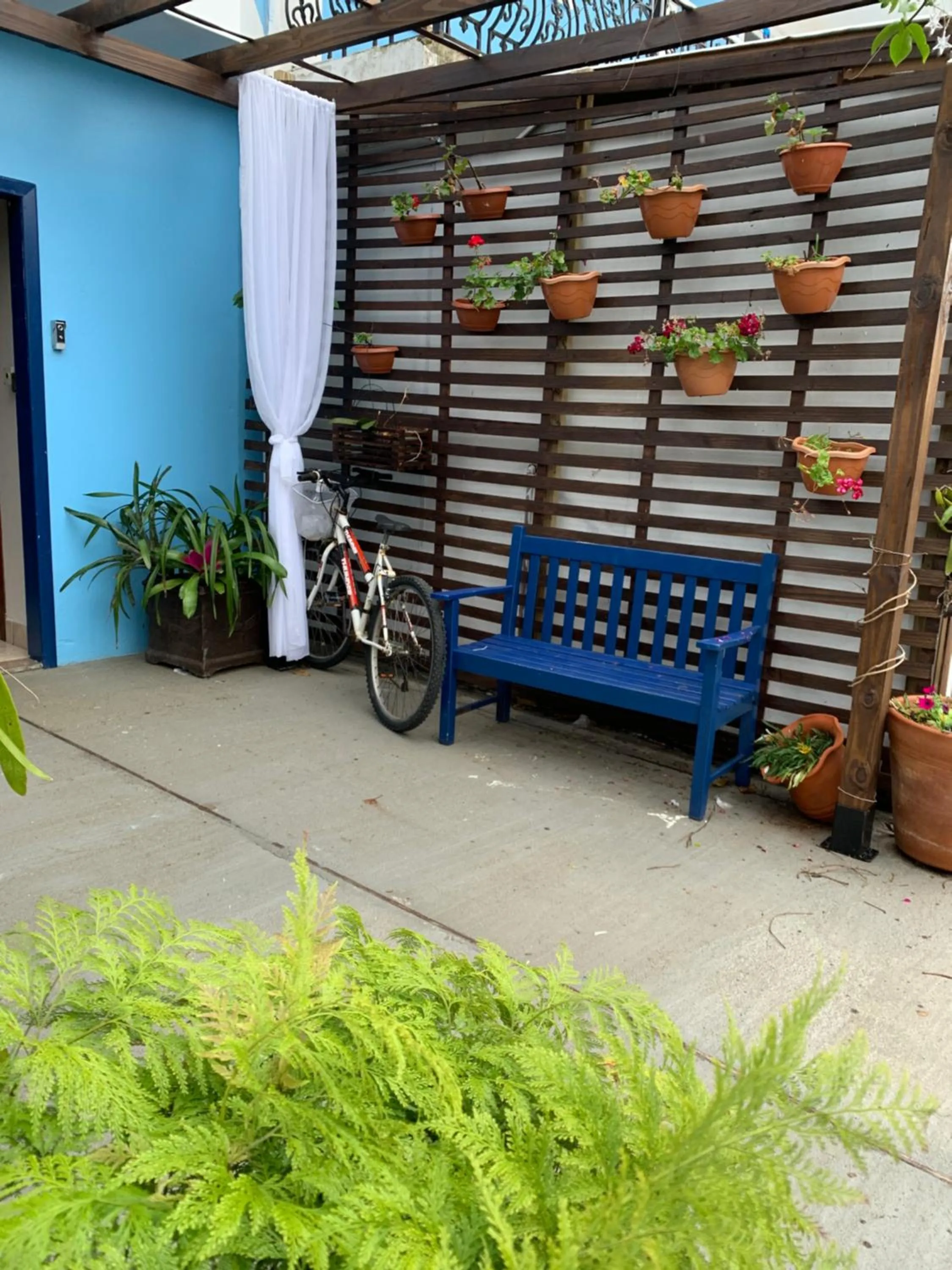 Garden view in Recanto da Sol