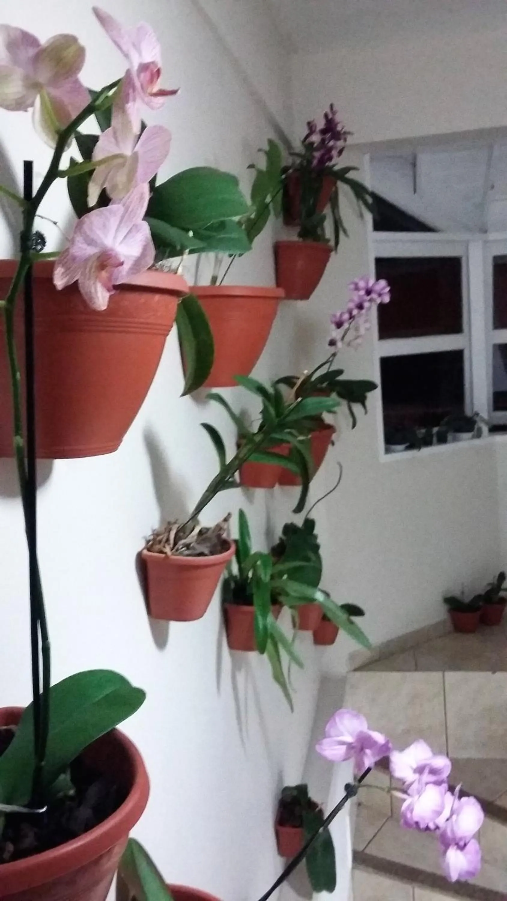 Property building in Recanto da Sol