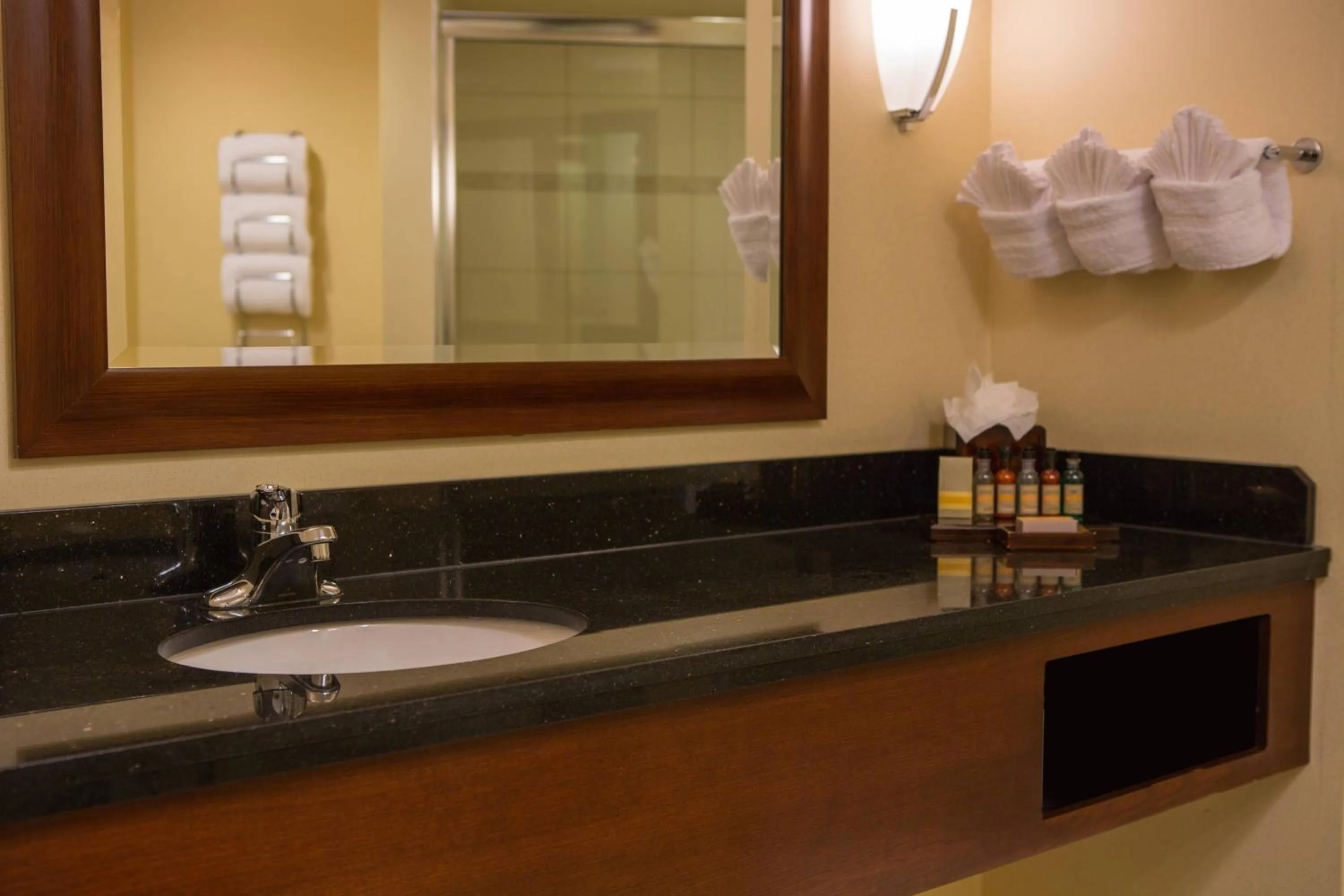 Bathroom in Baltimore Marriott Inner Harbor at Camden Yards