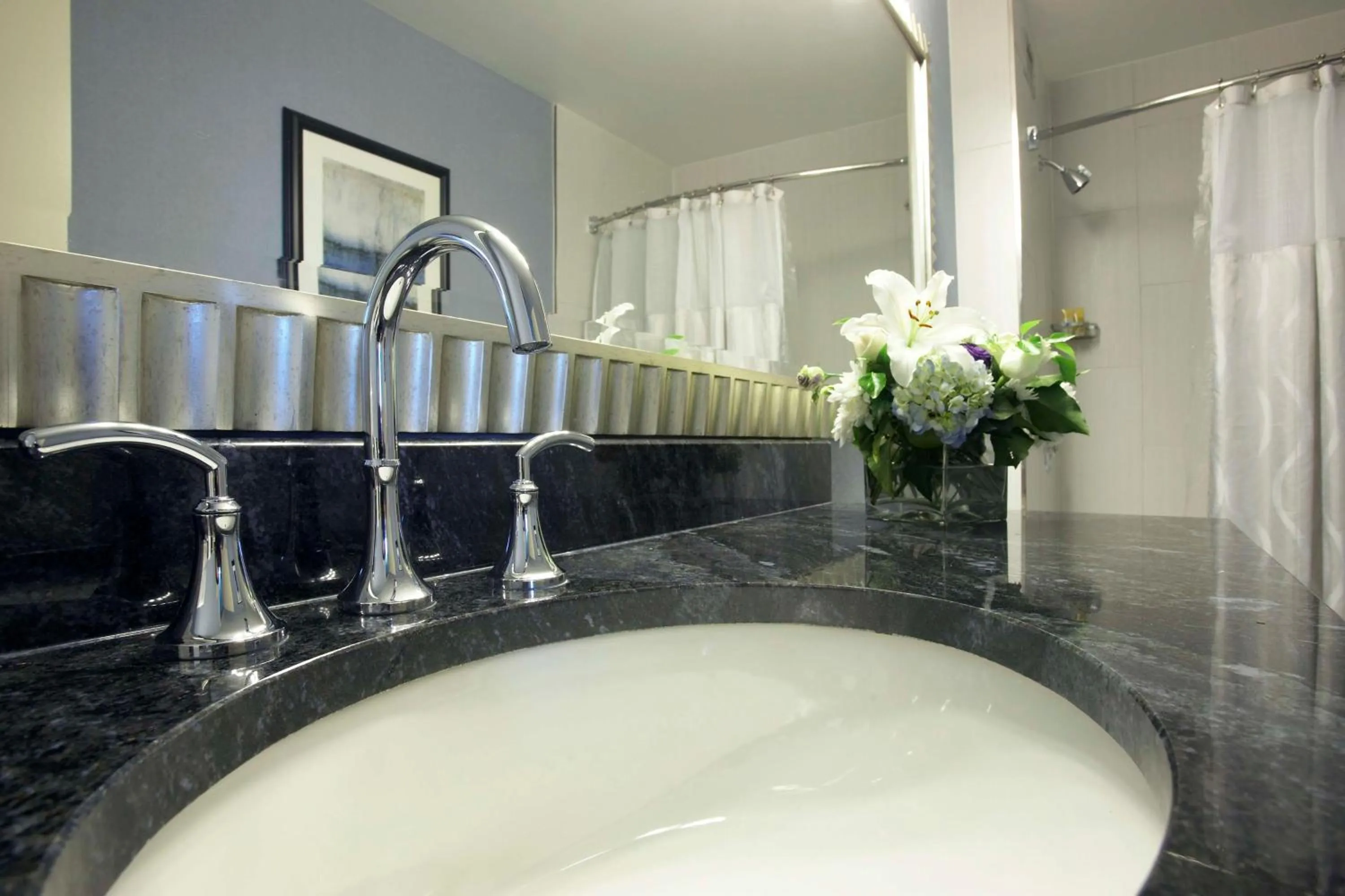 Bathroom in Hyatt Regency Buffalo