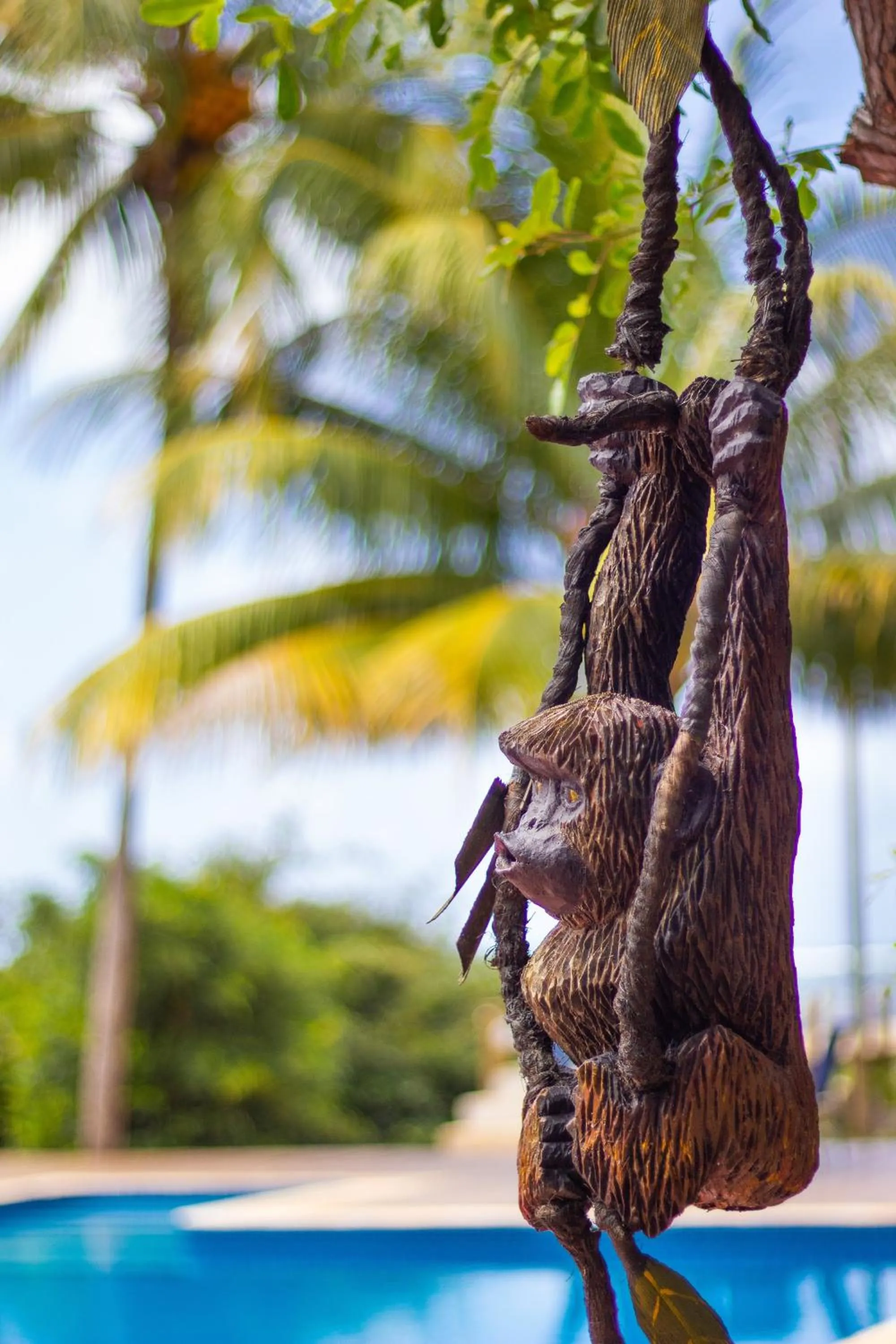 Area and facilities in Pousada Barra Velha