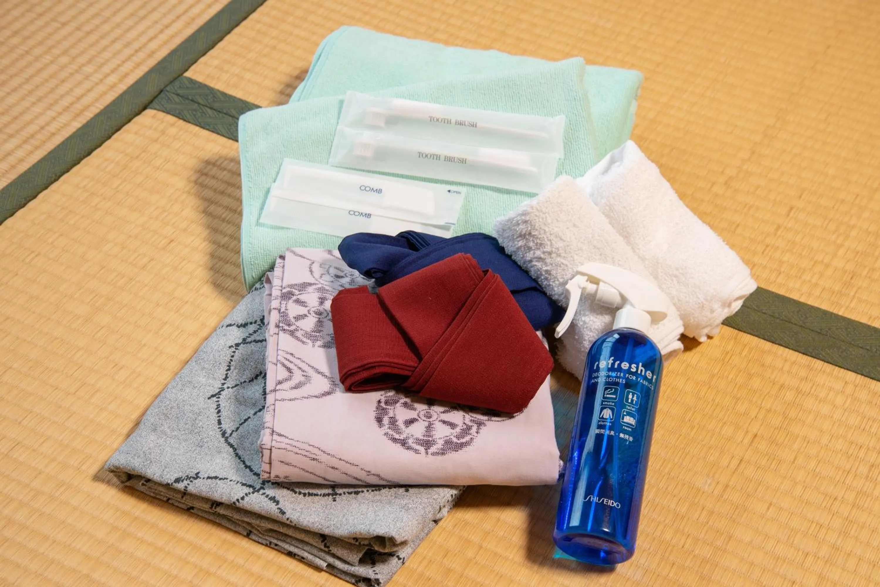 Area and facilities in Azuma Ryokan