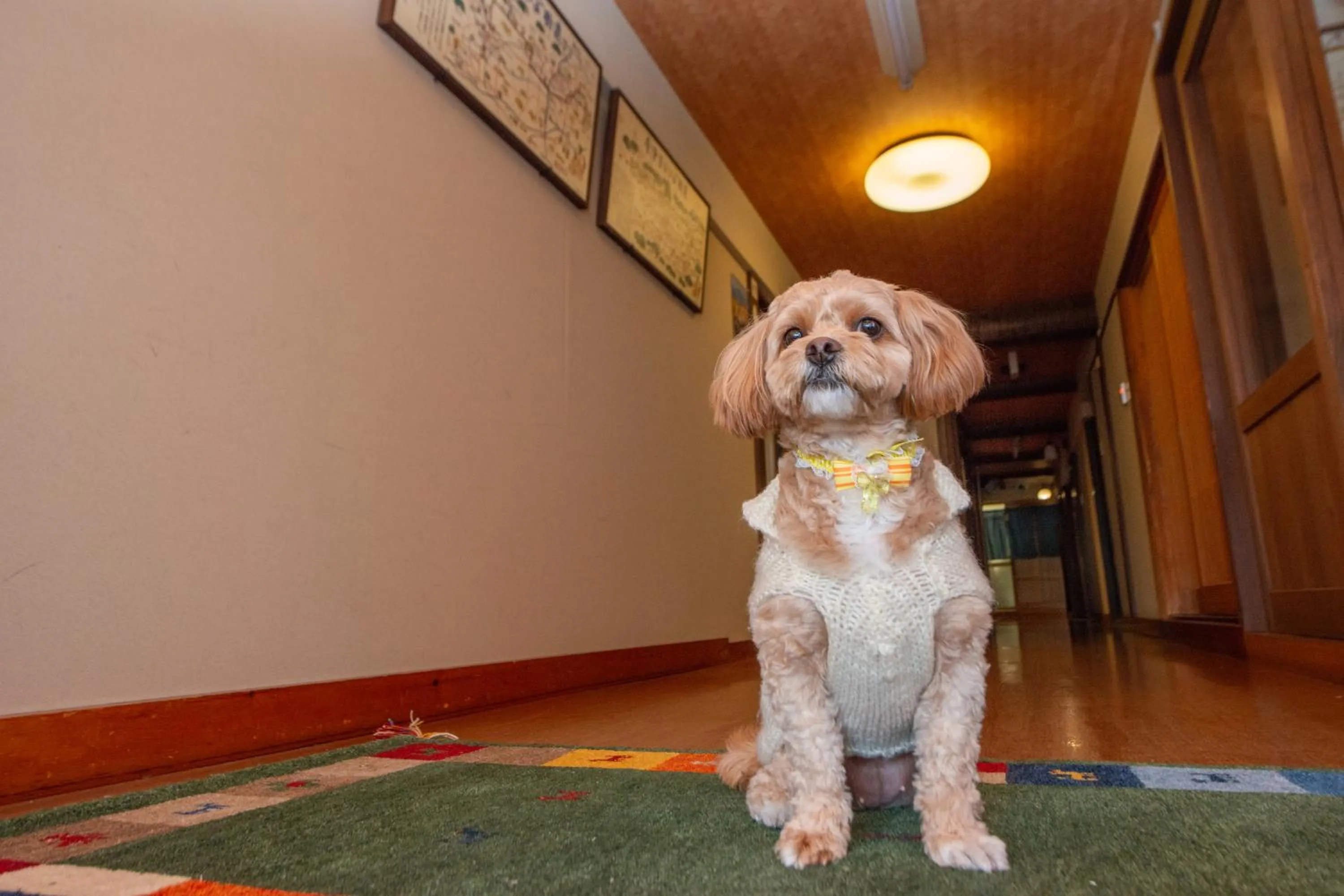 Staff in Azuma Ryokan