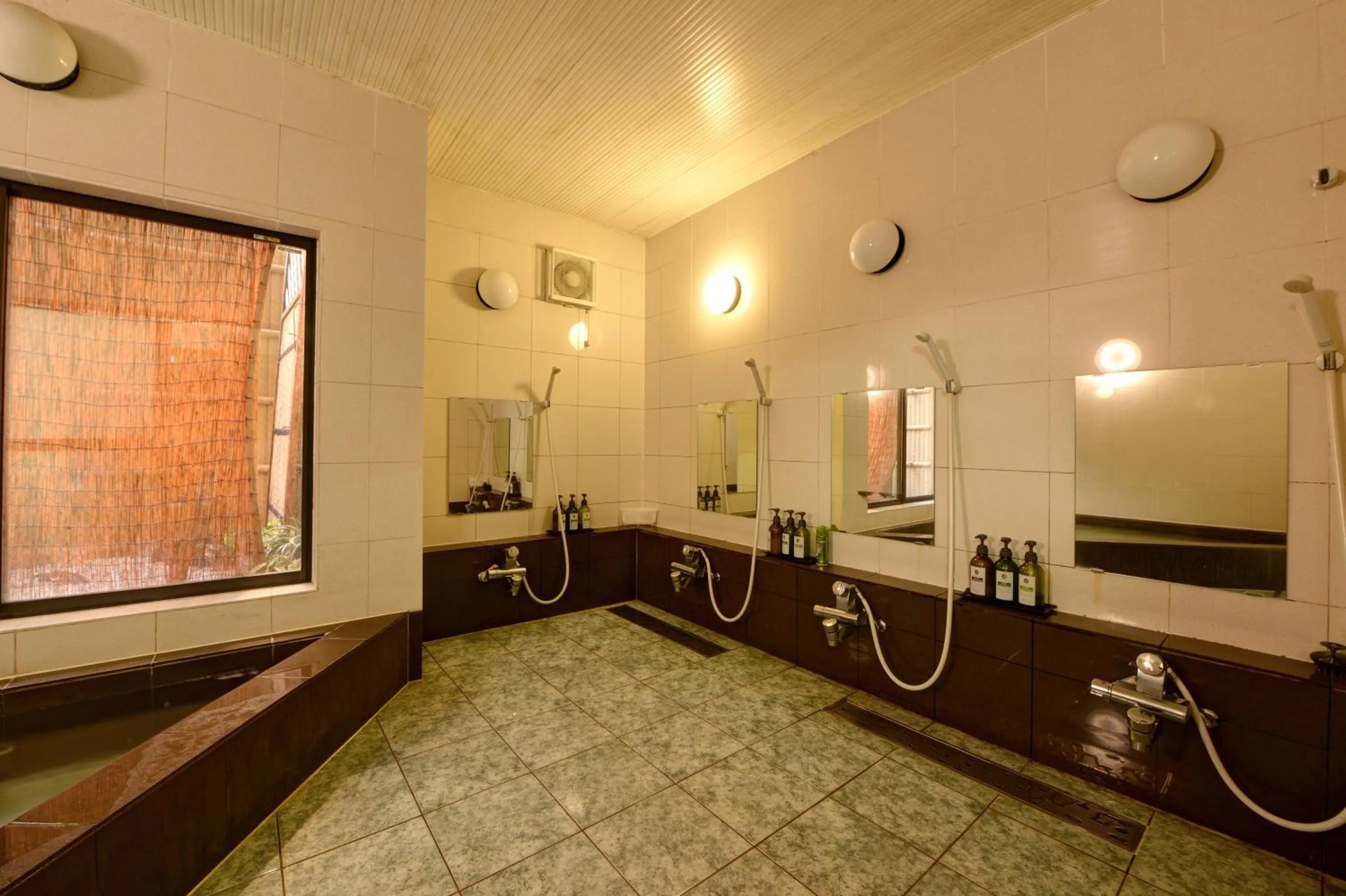 Public Bath in Azuma Ryokan