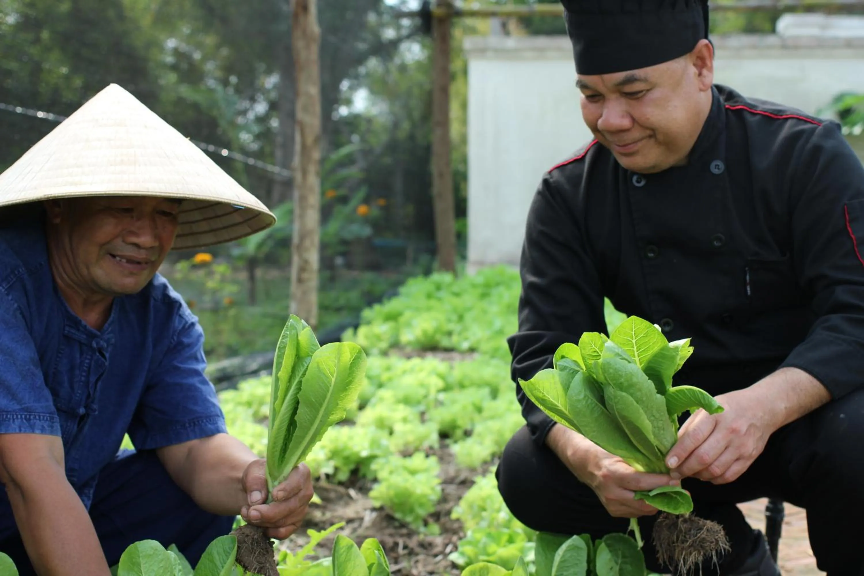 Garden in Le Palais Juliana