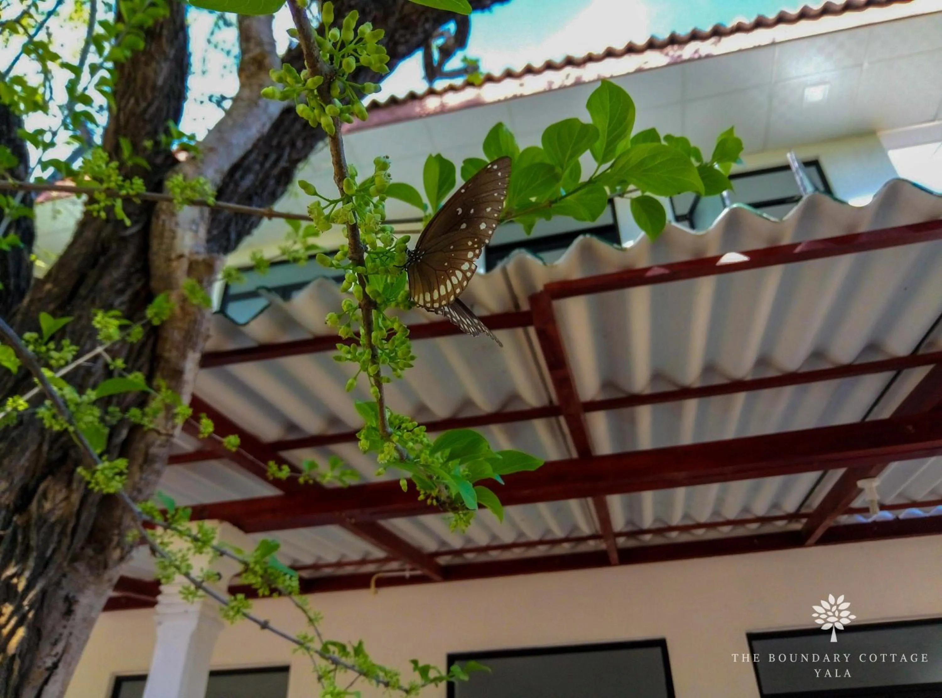 Day in The Boundary Yala