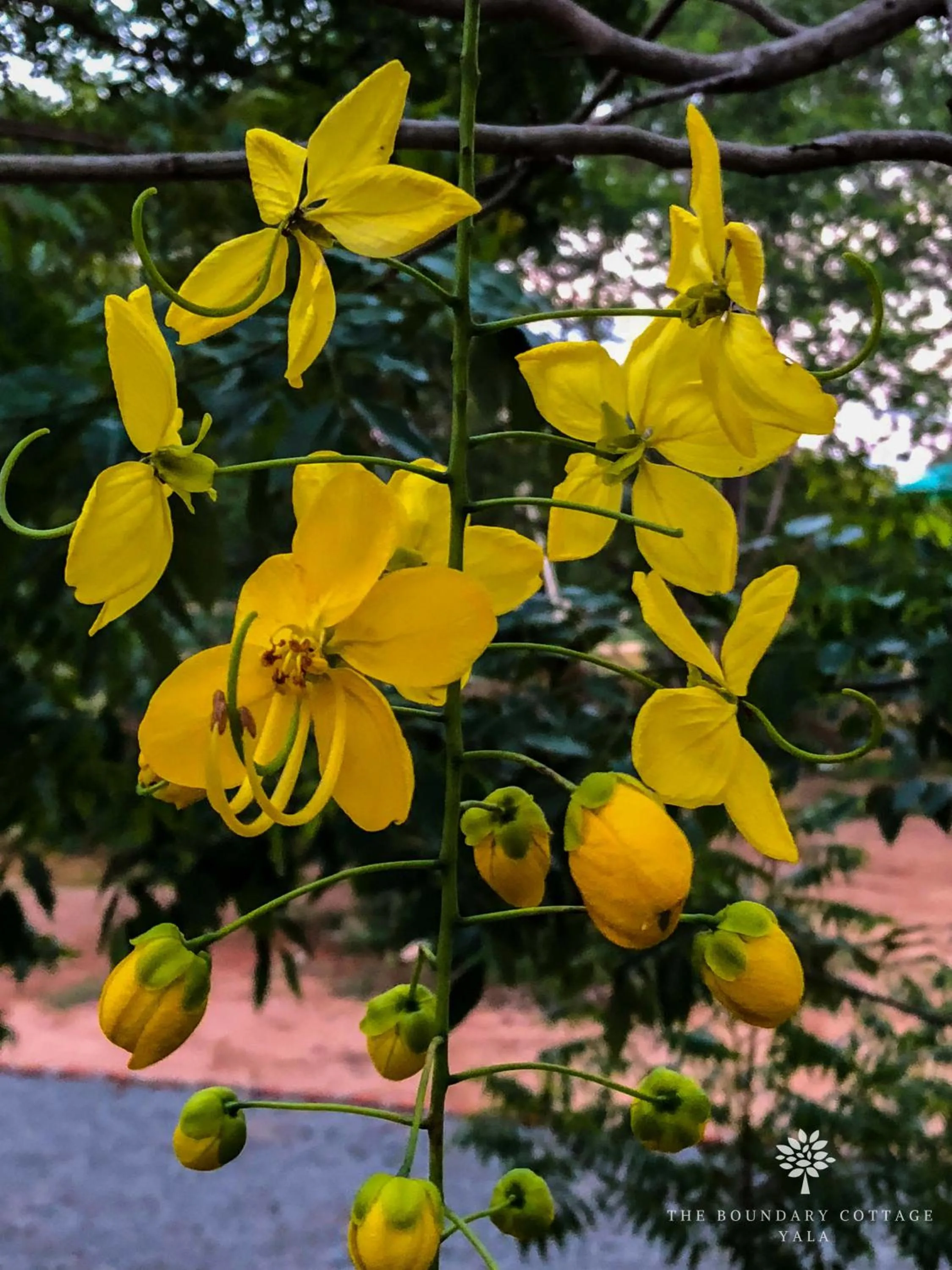 Nearby landmark in The Boundary Yala