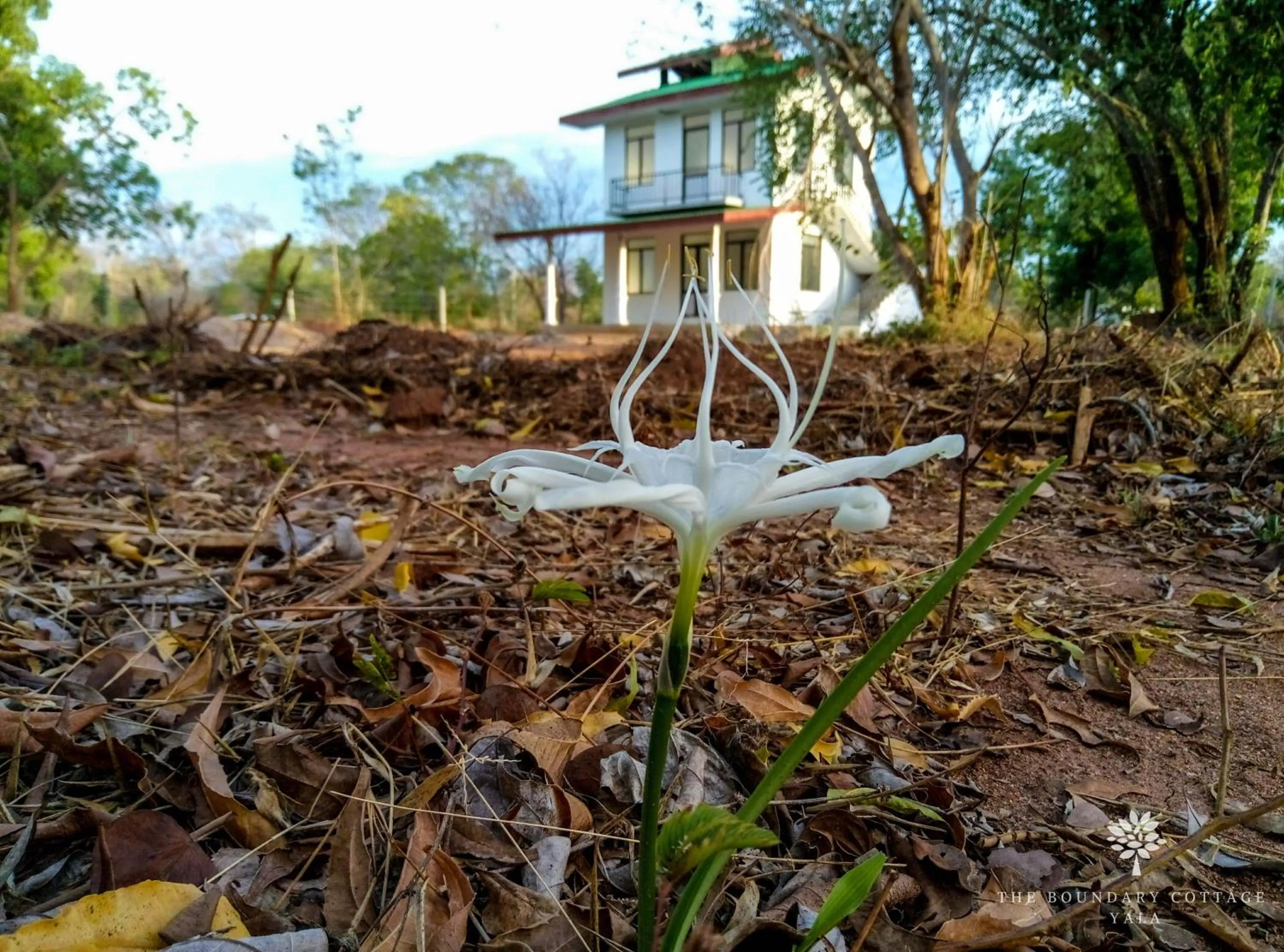 Day in The Boundary Yala