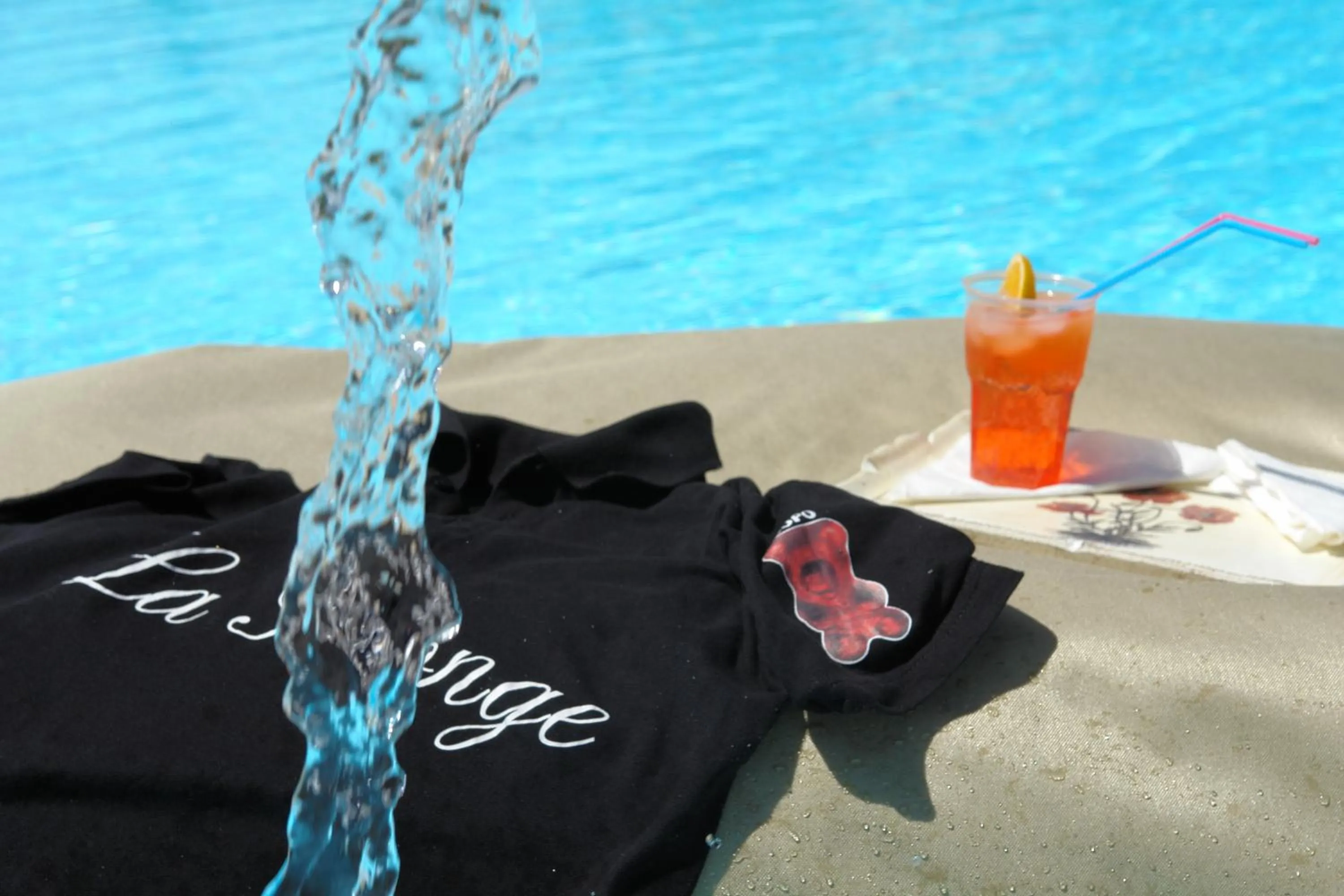 Lounge or bar in Agriturismo Lama Di Valle Rosa