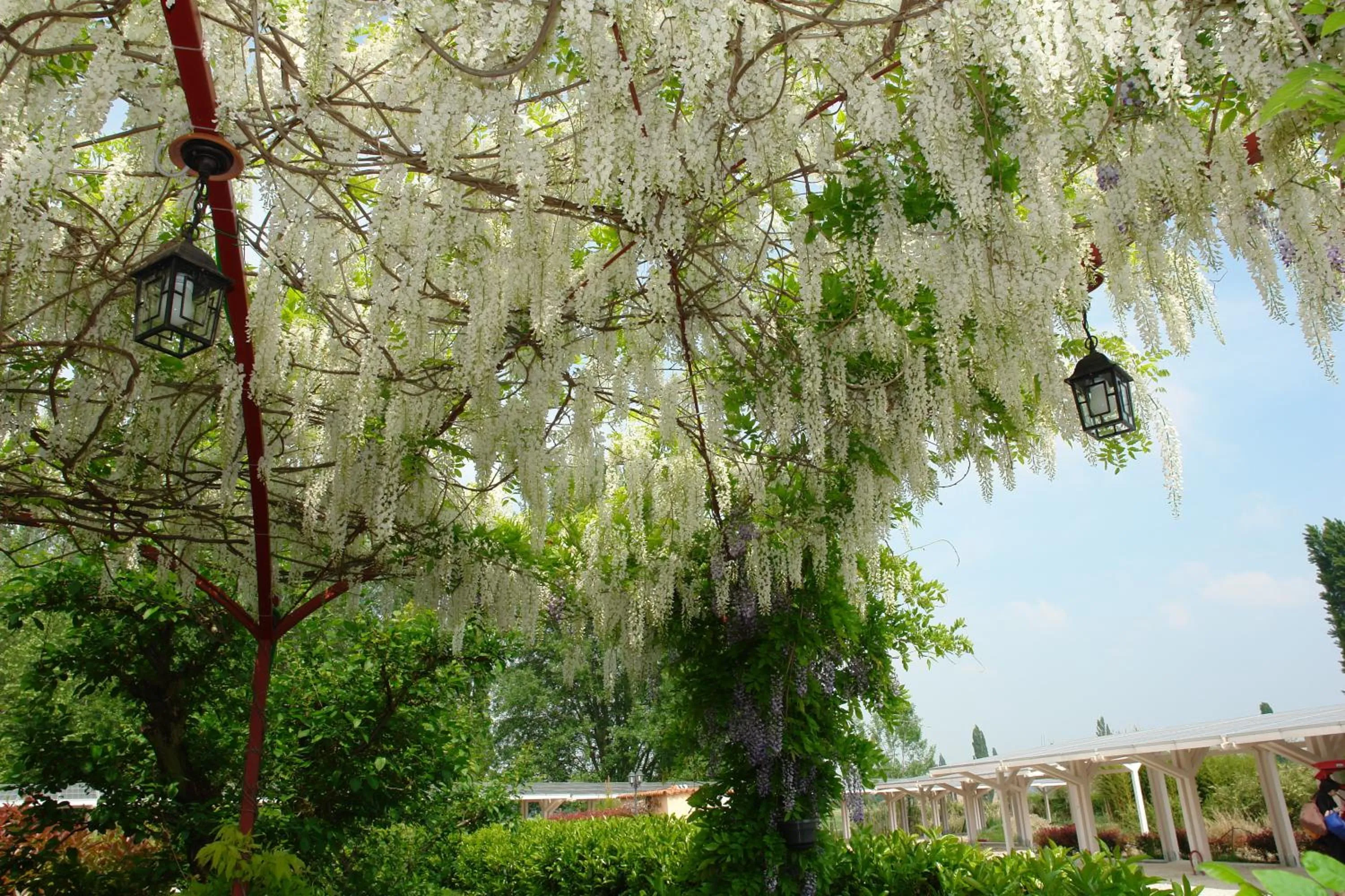 Garden in Agriturismo Lama Di Valle Rosa