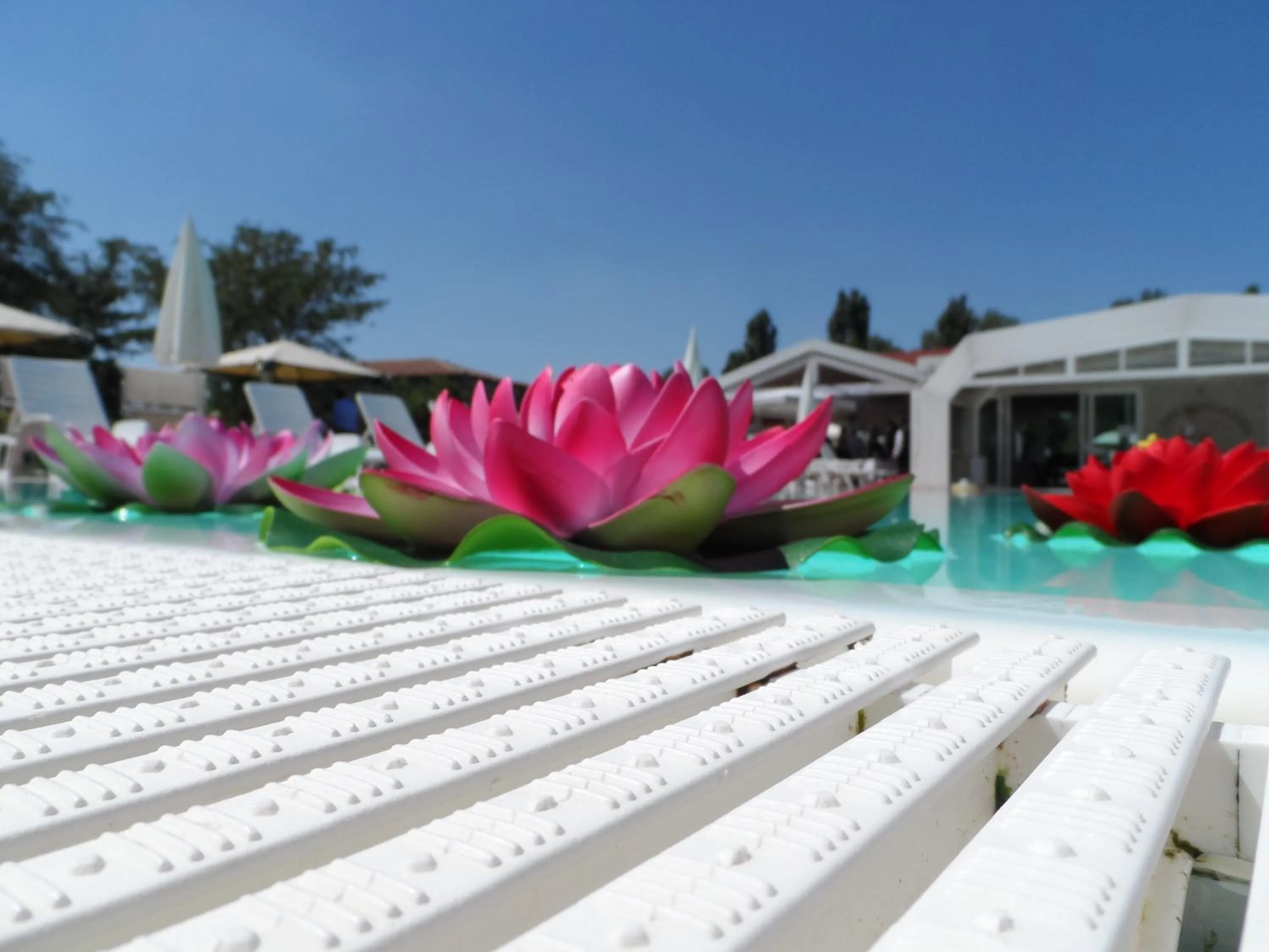 Summer in Agriturismo Lama Di Valle Rosa