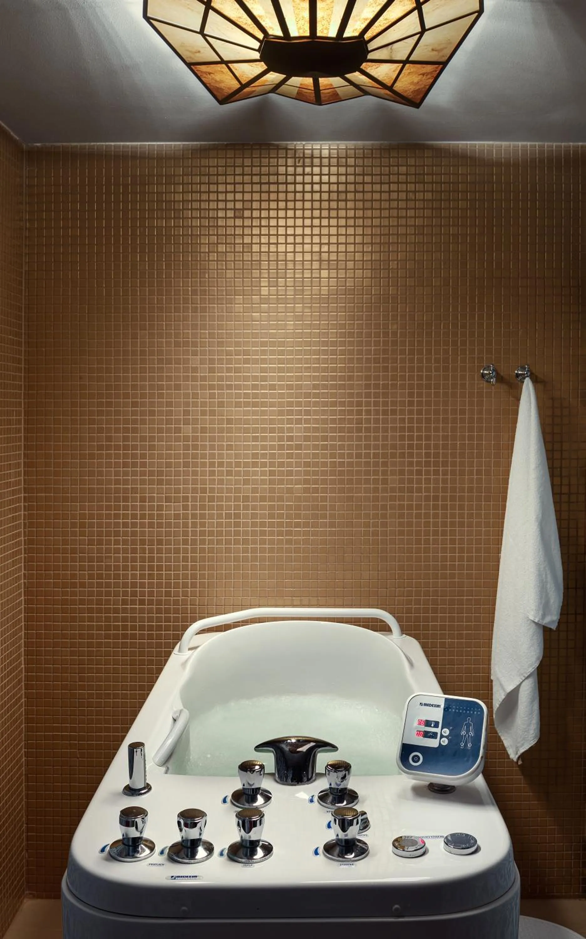 Spa and wellness centre/facilities in Spa Hotel Villa Smetana