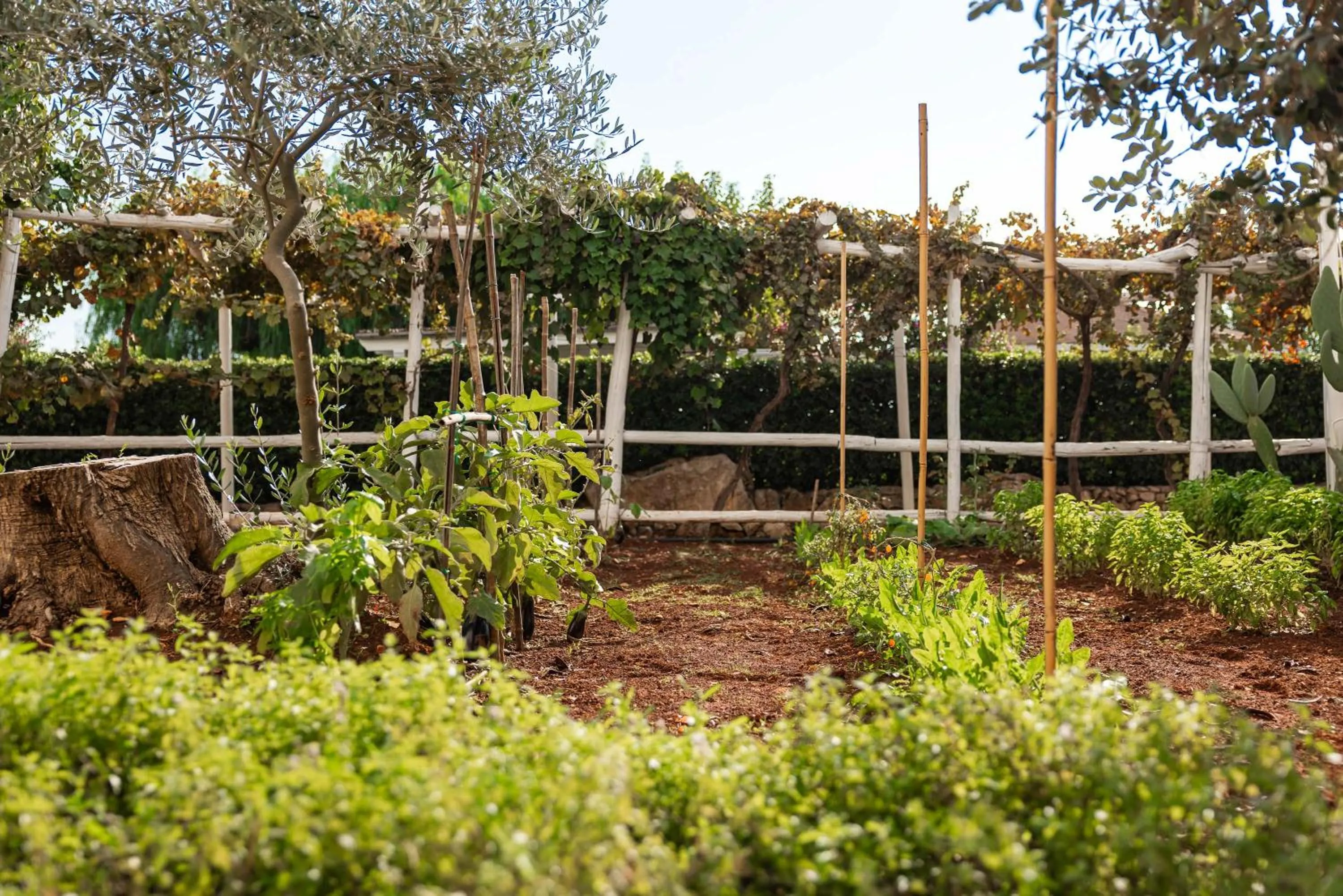 Garden in Hotel Montecallini - Adult Only 14