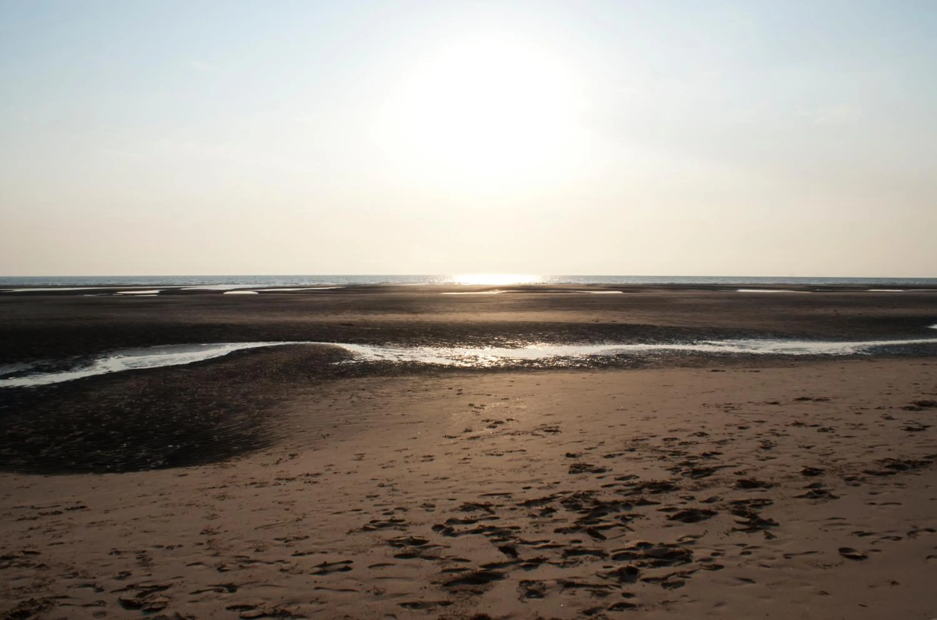 Beach in The Highfield Private Hotel