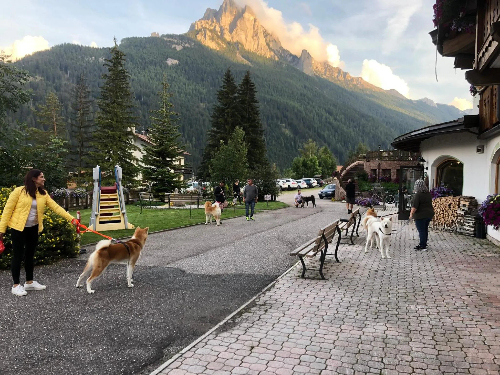 Garden in Alpine Touring Hotel-petfriendly