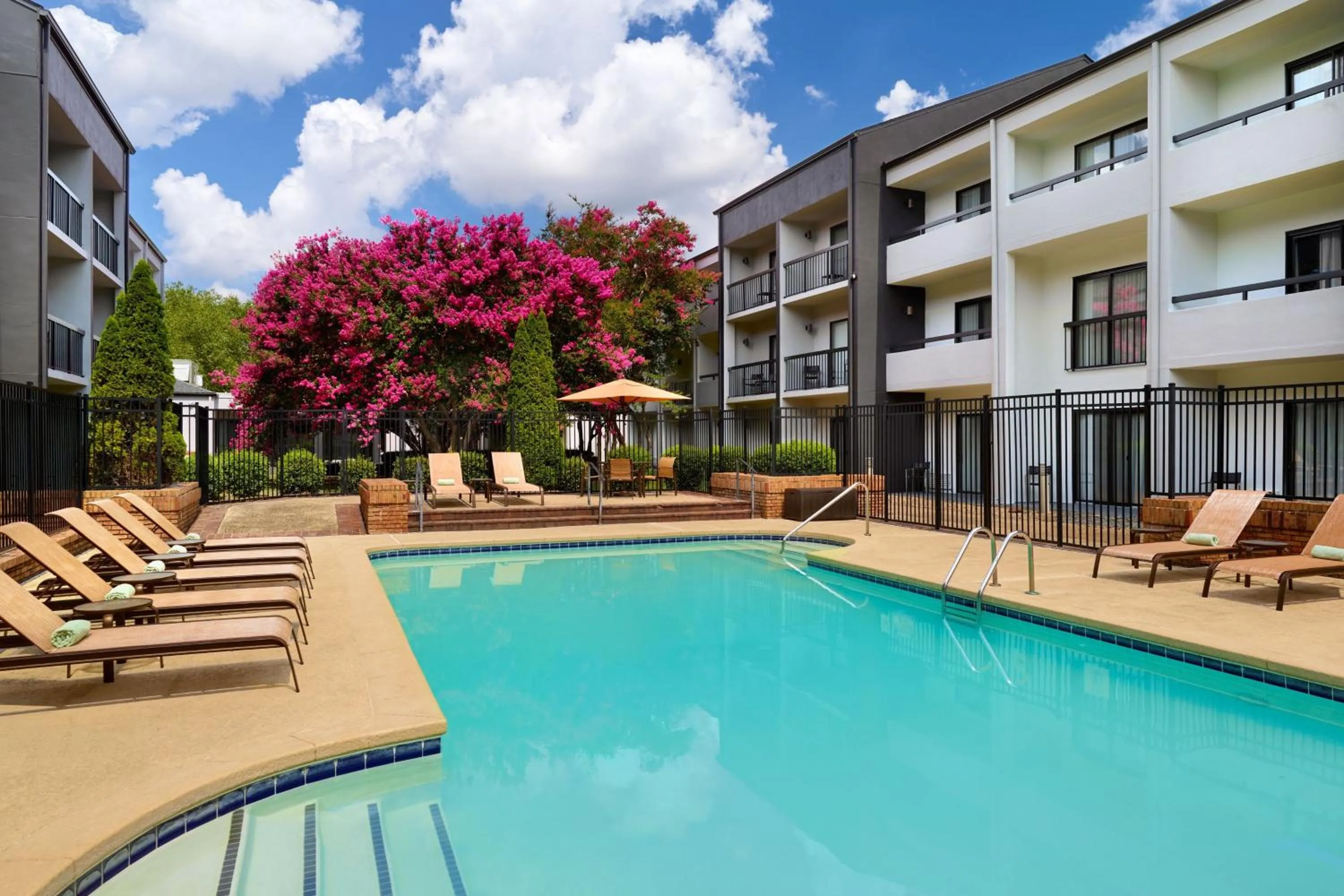 Swimming pool in Courtyard Charlotte Arrowood