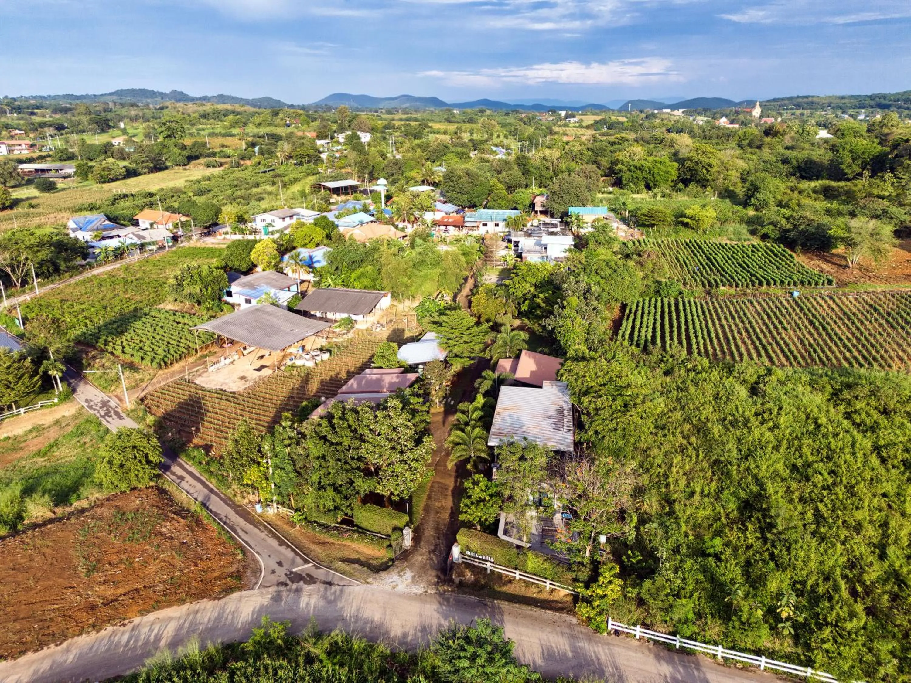 Natural landscape in Chill at Hill