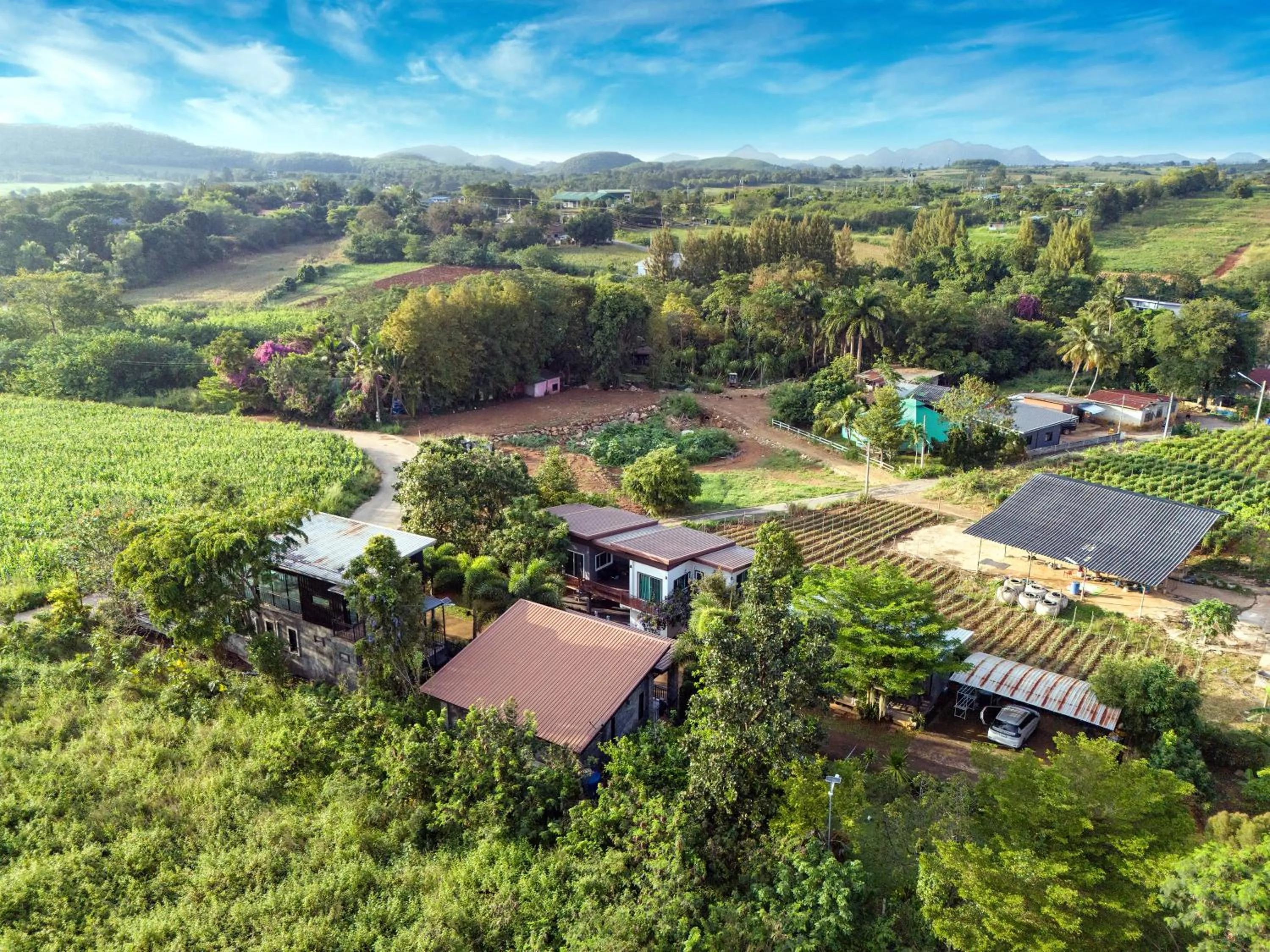 Natural landscape in Chill at Hill