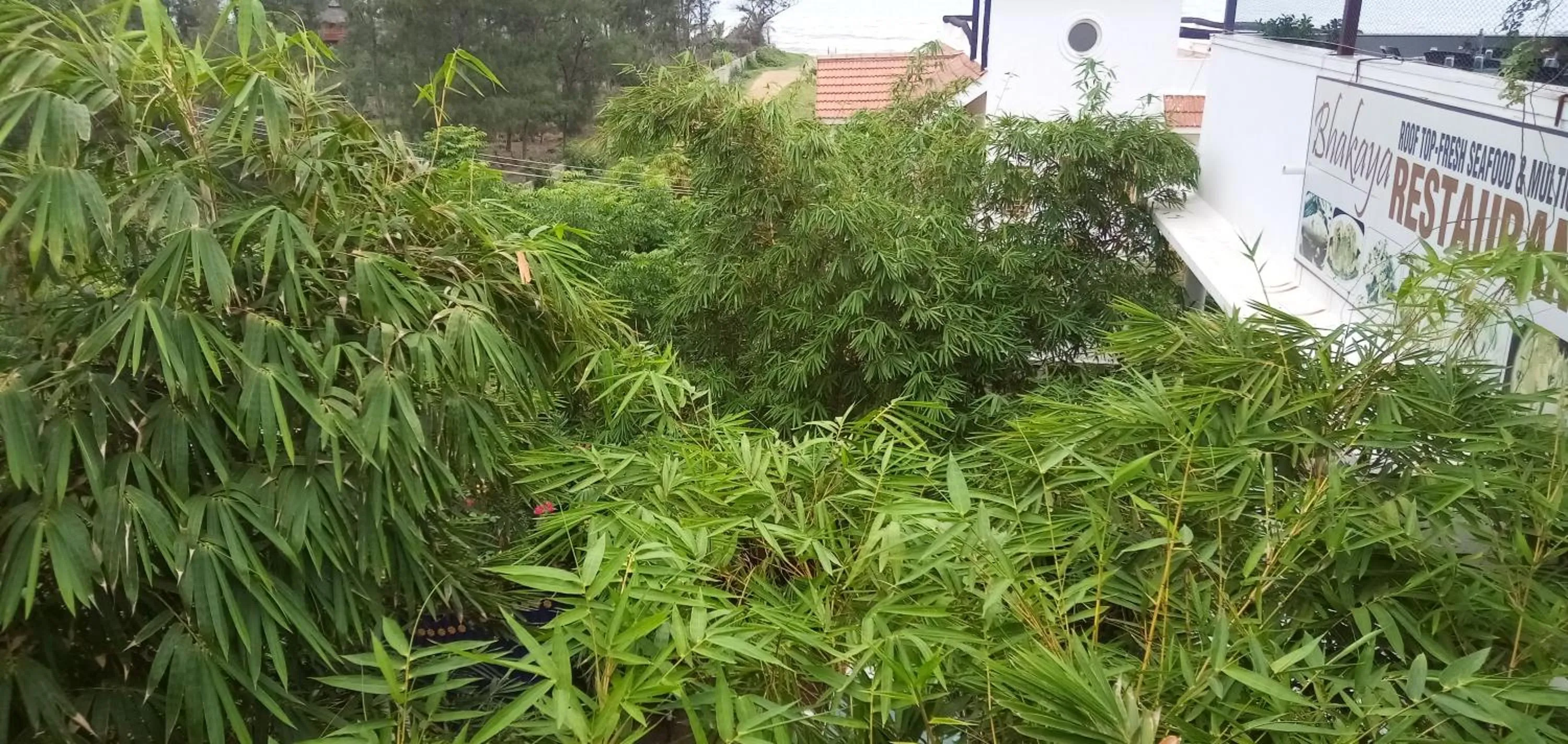 Meya Beach Walk Hotel