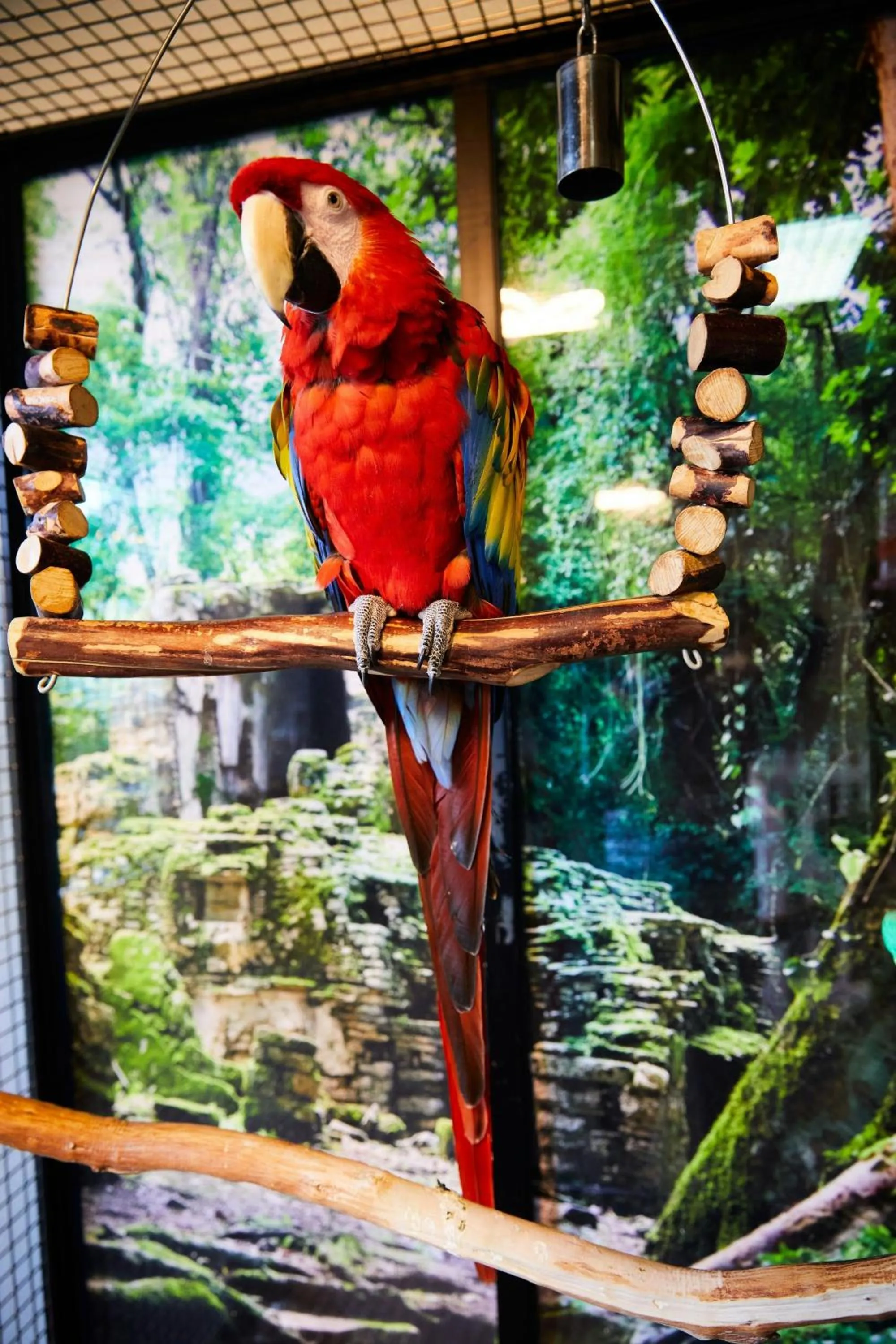 Other in JW Marriott Desert Springs Resort & Spa