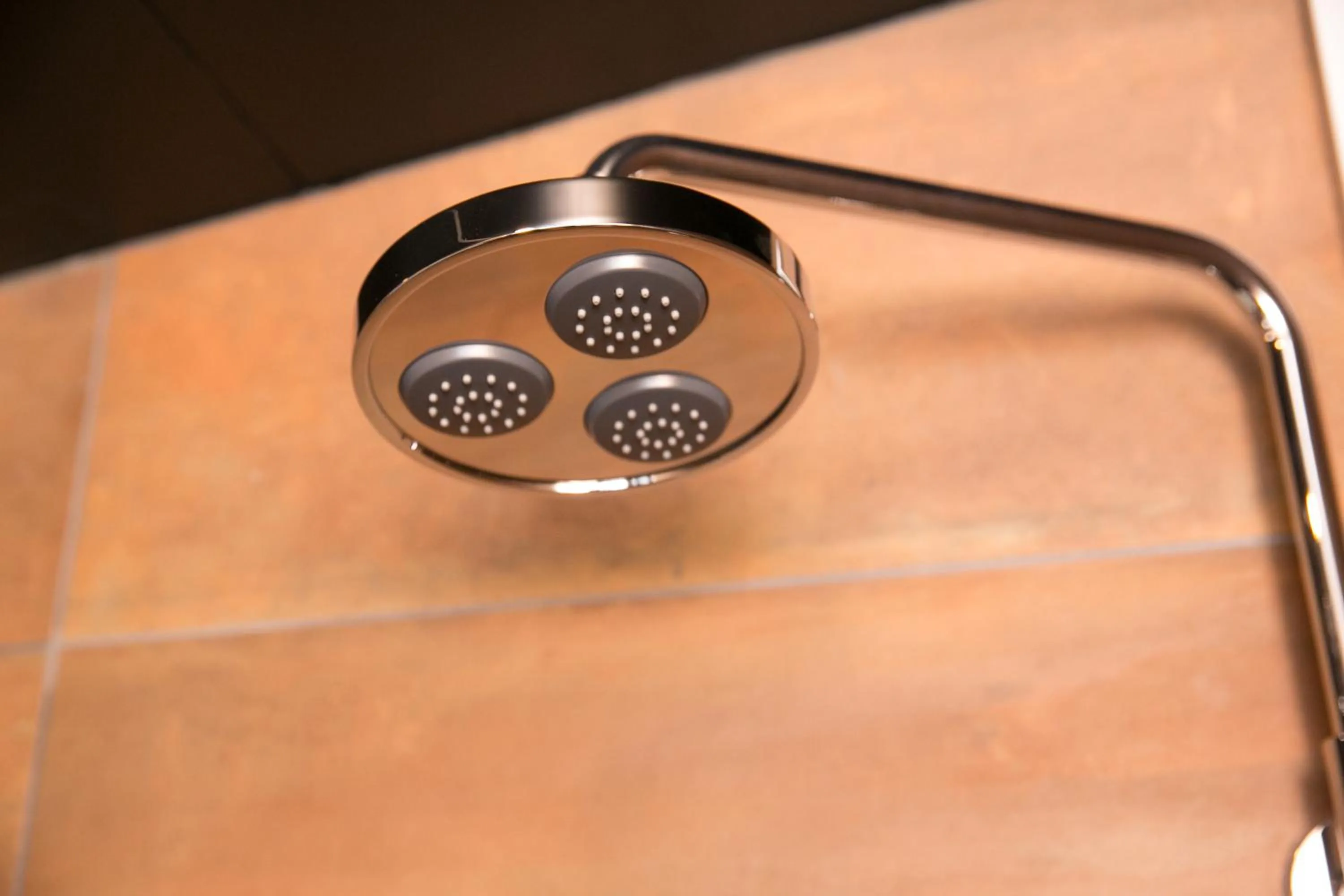 Shower in Hosta Umekoji Akari