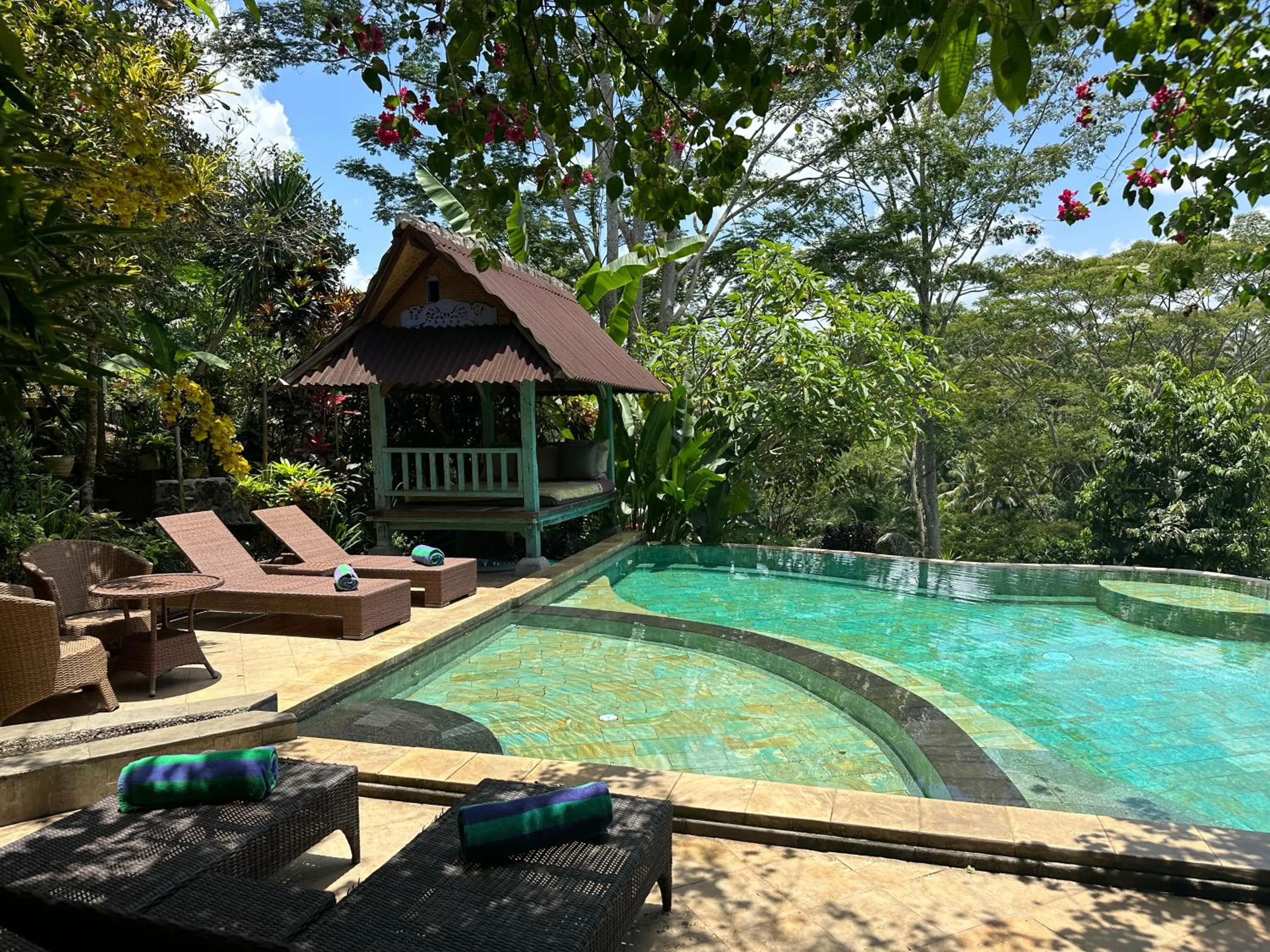Swimming pool in Tirta Asri Ubud Villa